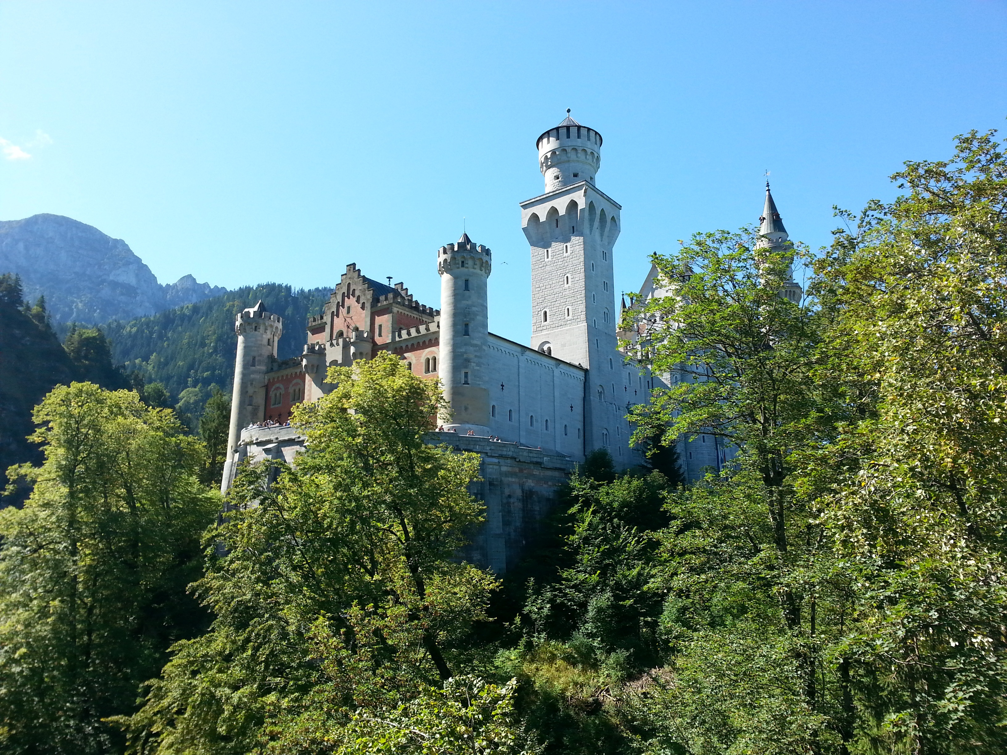 outdoors, neuschwanstein castle, castle, plant, sunlight, religion, sky, building exterior, architecture, day, history, mountain, growth, germany, tree, HD Wallpaper