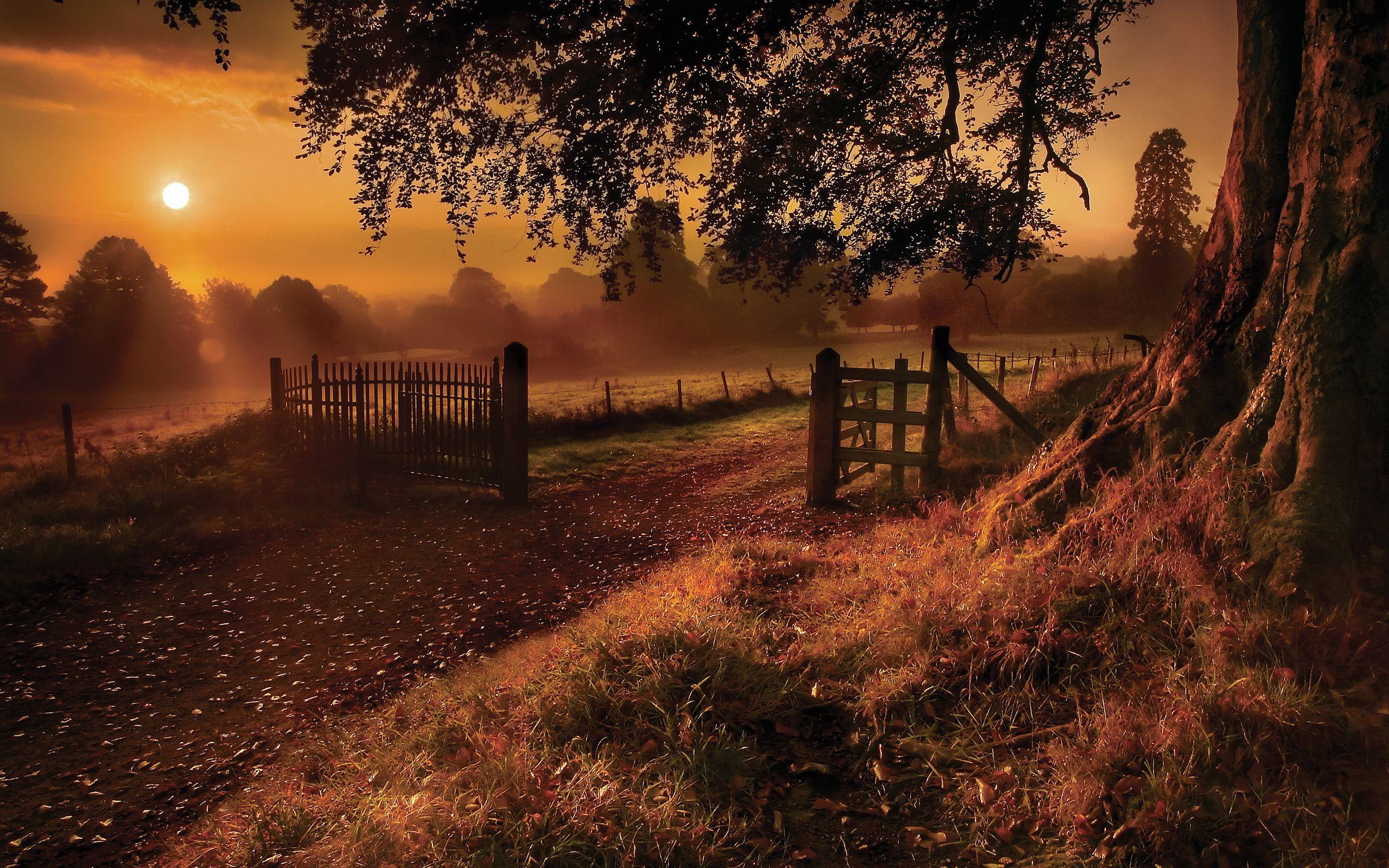 evening, brown, haunted, wooden, nature and landscapes, 2K, fence, setting, HD Wallpaper