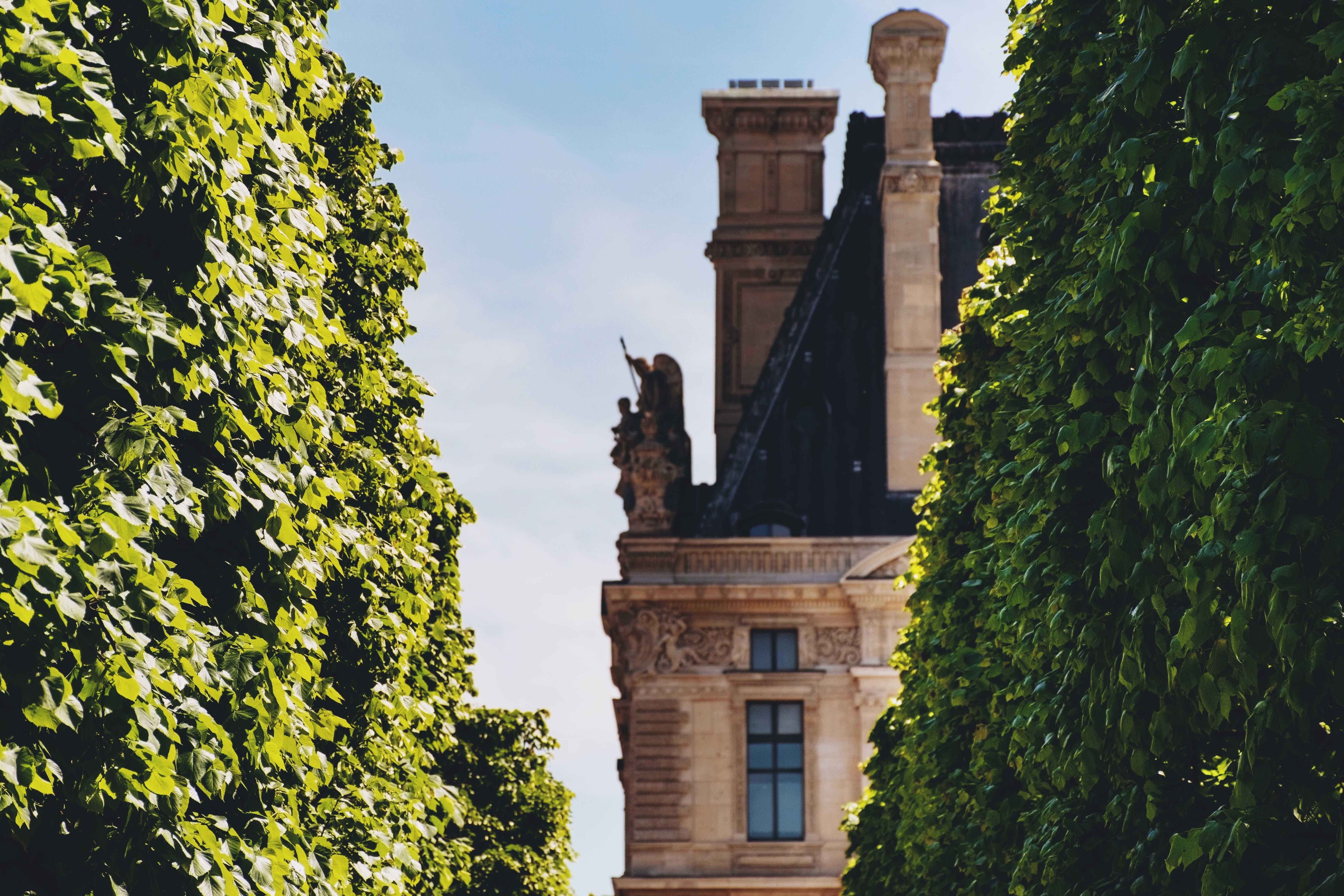 statue, sophisticated, green color, built structure, the past, paris, sky, art and craft, plant, no people, europe, tree lined, day, architecture, getaway, HD Wallpaper