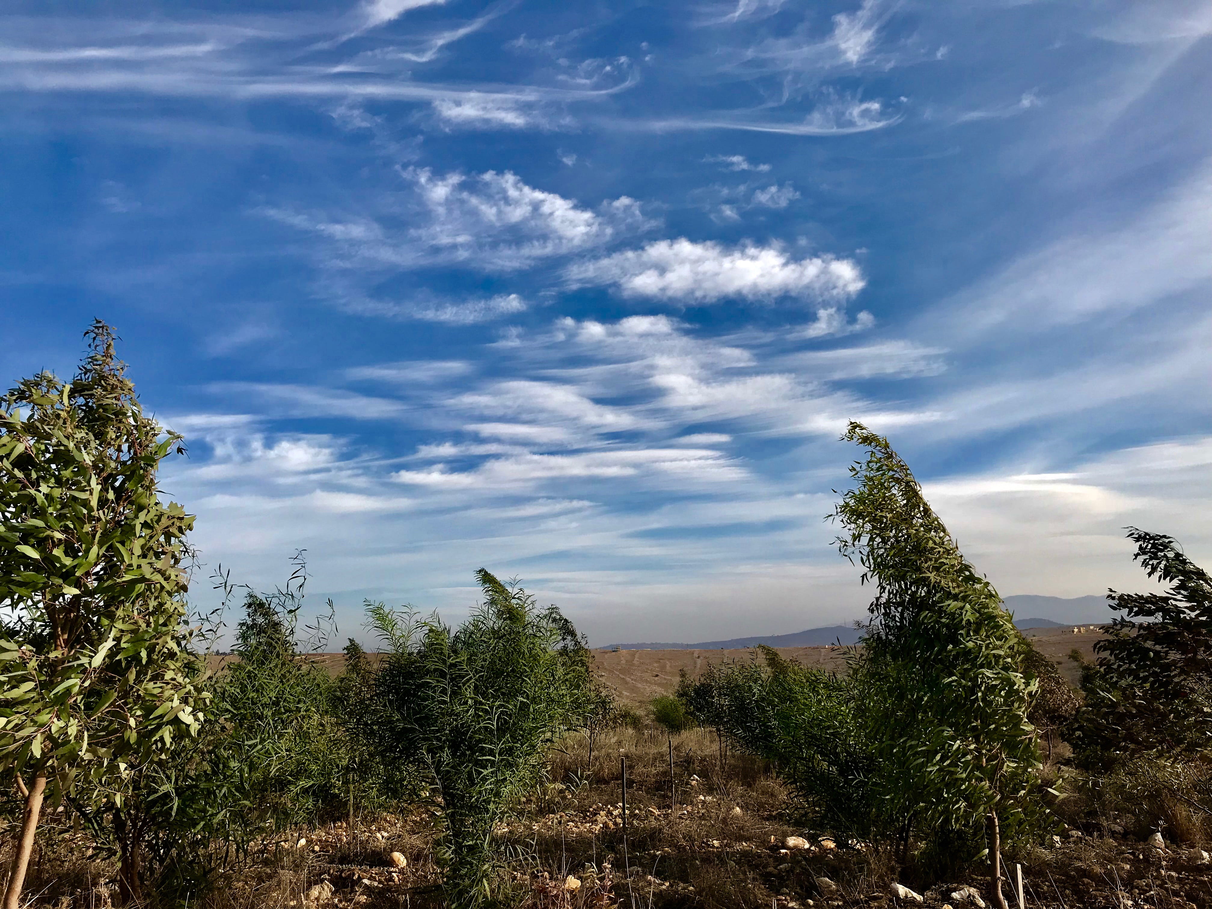 blue sky, land, landscape, places, outdoors, remote, tree, plant, idyllic, 4K, sky, lebanon, tranquil scene, sunlight, nature, environment, cloud - sky, HD Wallpaper