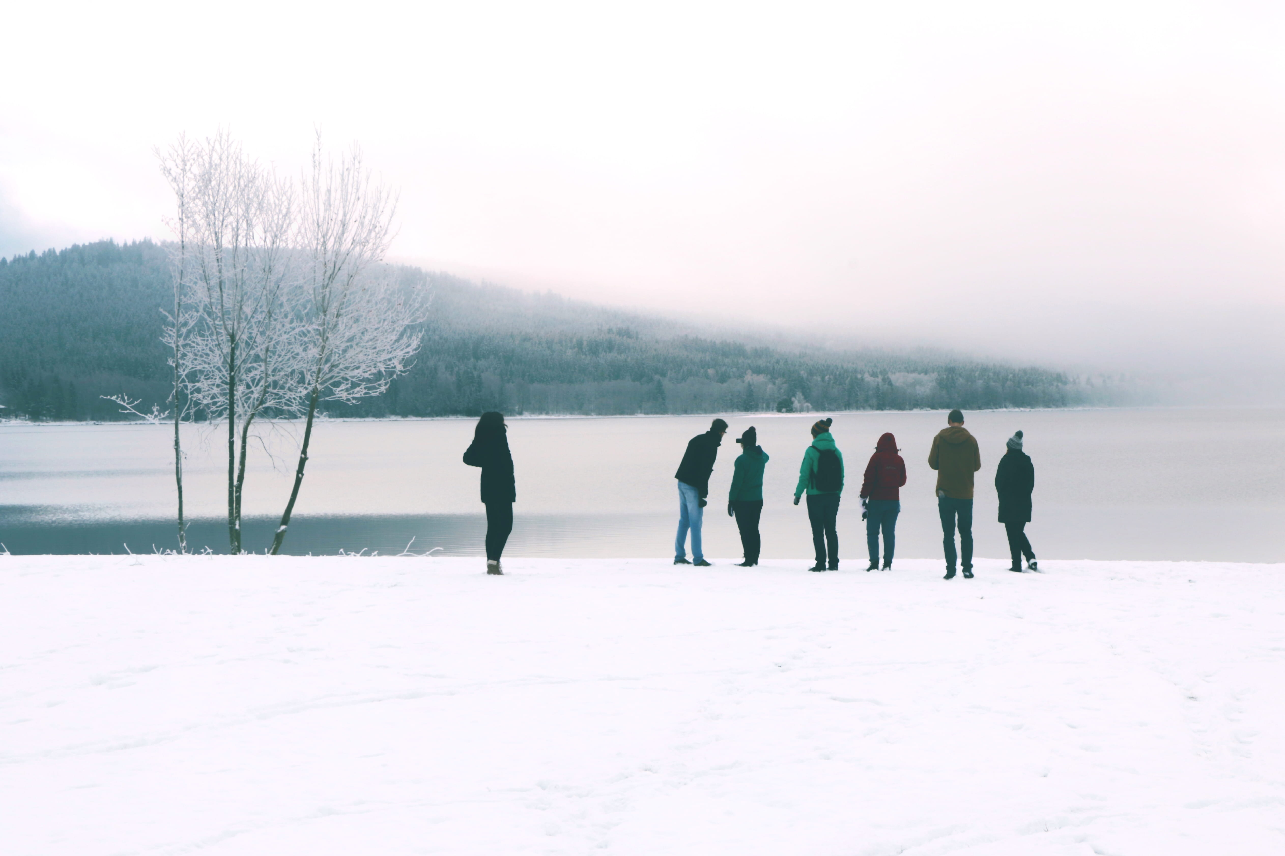 sport, cold temperature, winter, frozen, lake, group of people, 4K, winter sport, snow, forest, day, czechia, white, sky, ice, nature, men, leisure activity, HD Wallpaper