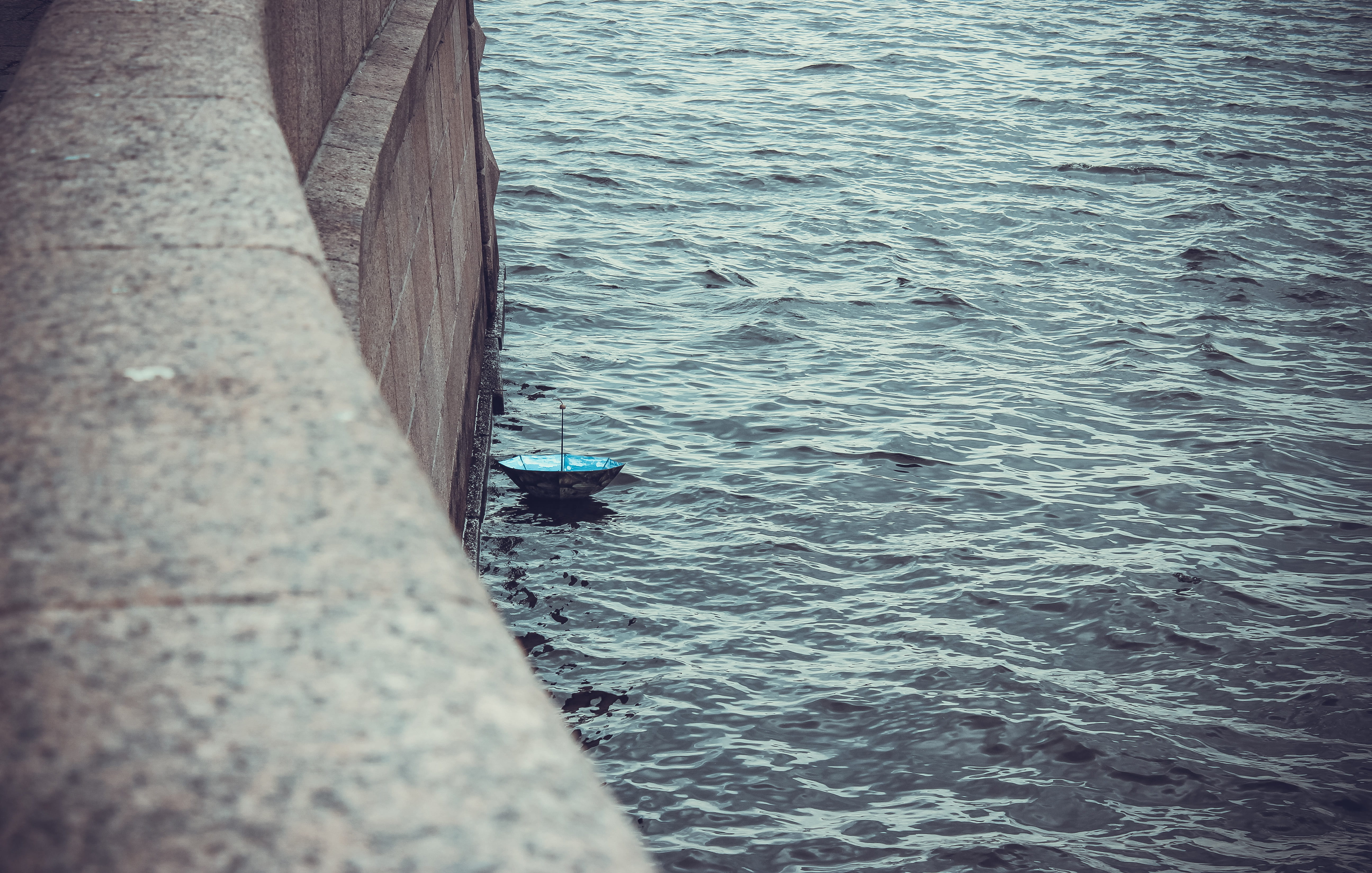 nautical vessel, beauty in nature, nature, one animal, concrete, near, animal wildlife, lost, swimming, pier, transportation, rippled, black, day, harbor, HD Wallpaper
