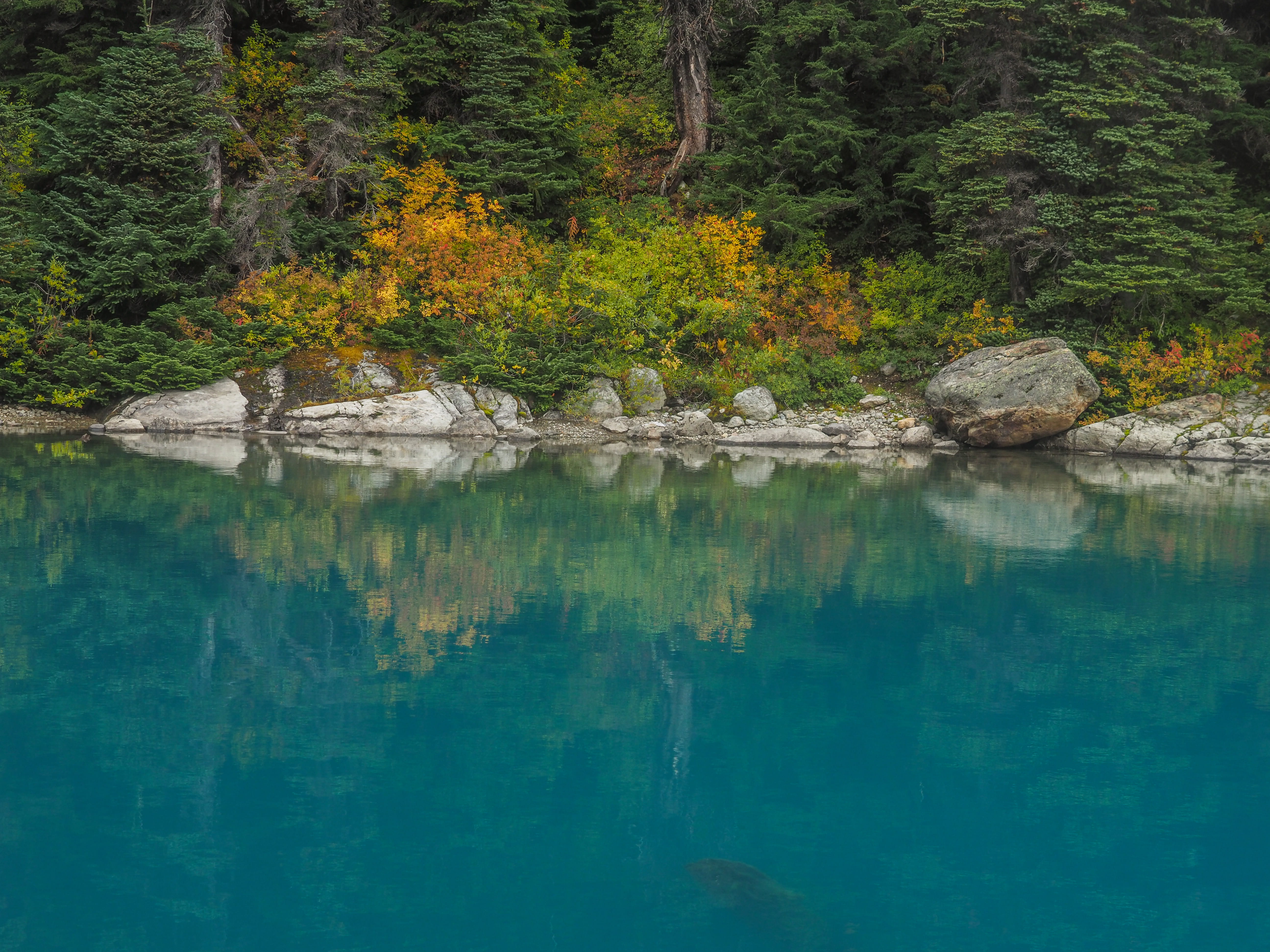 non-urban scene, reflection, promontory, shelter, whistler, forest, abies, pond, water, creek, fir, fishing, canada, stream, plant, solid, no people, tranquility, HD Wallpaper