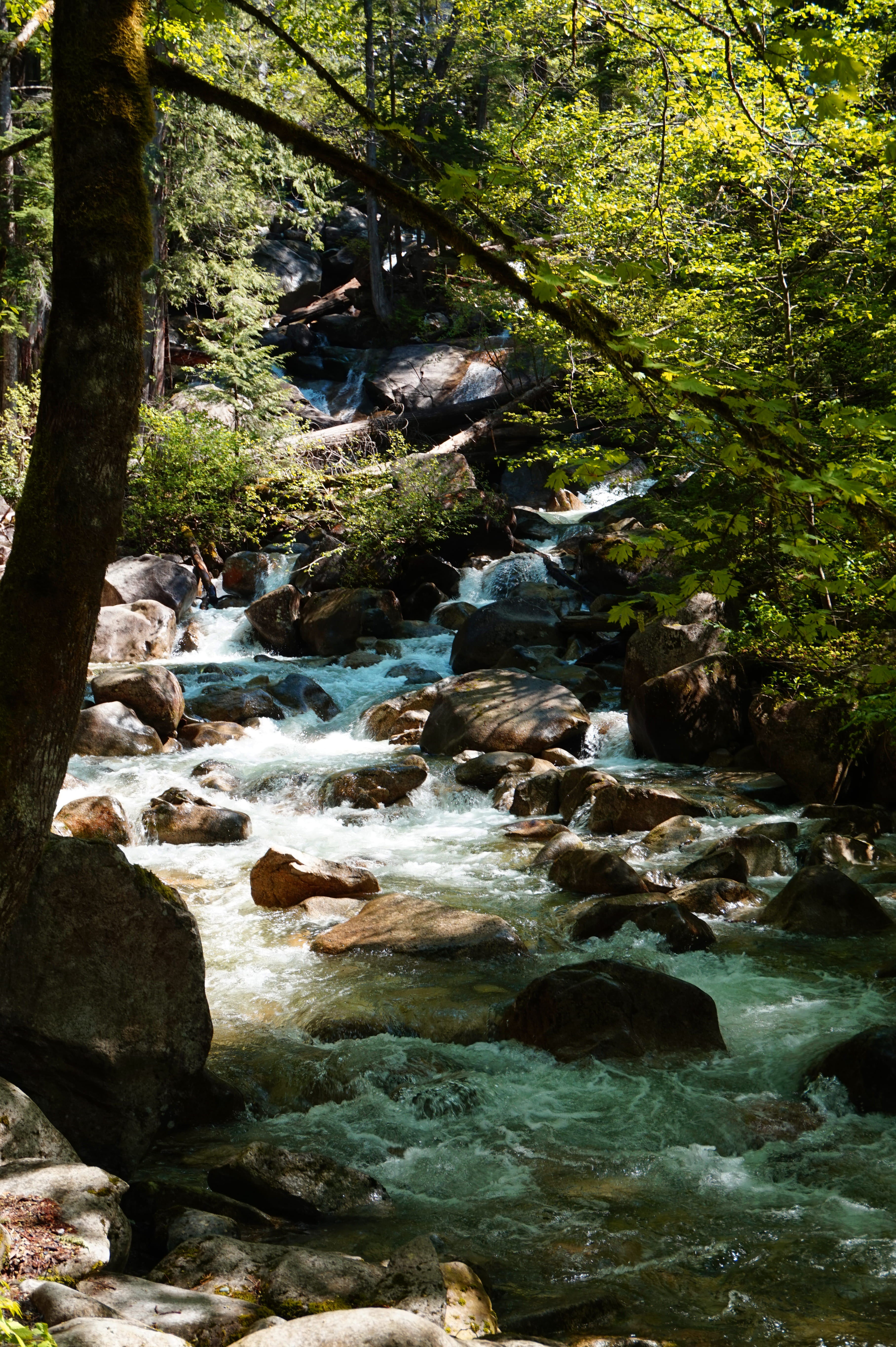 tree canopy, land, waterfall, whistler, woodland, tree, 5K, scenics - nature, plant, pacific northwest, running water, rock - object, stream - flowing water, Phone HD Wallpaper