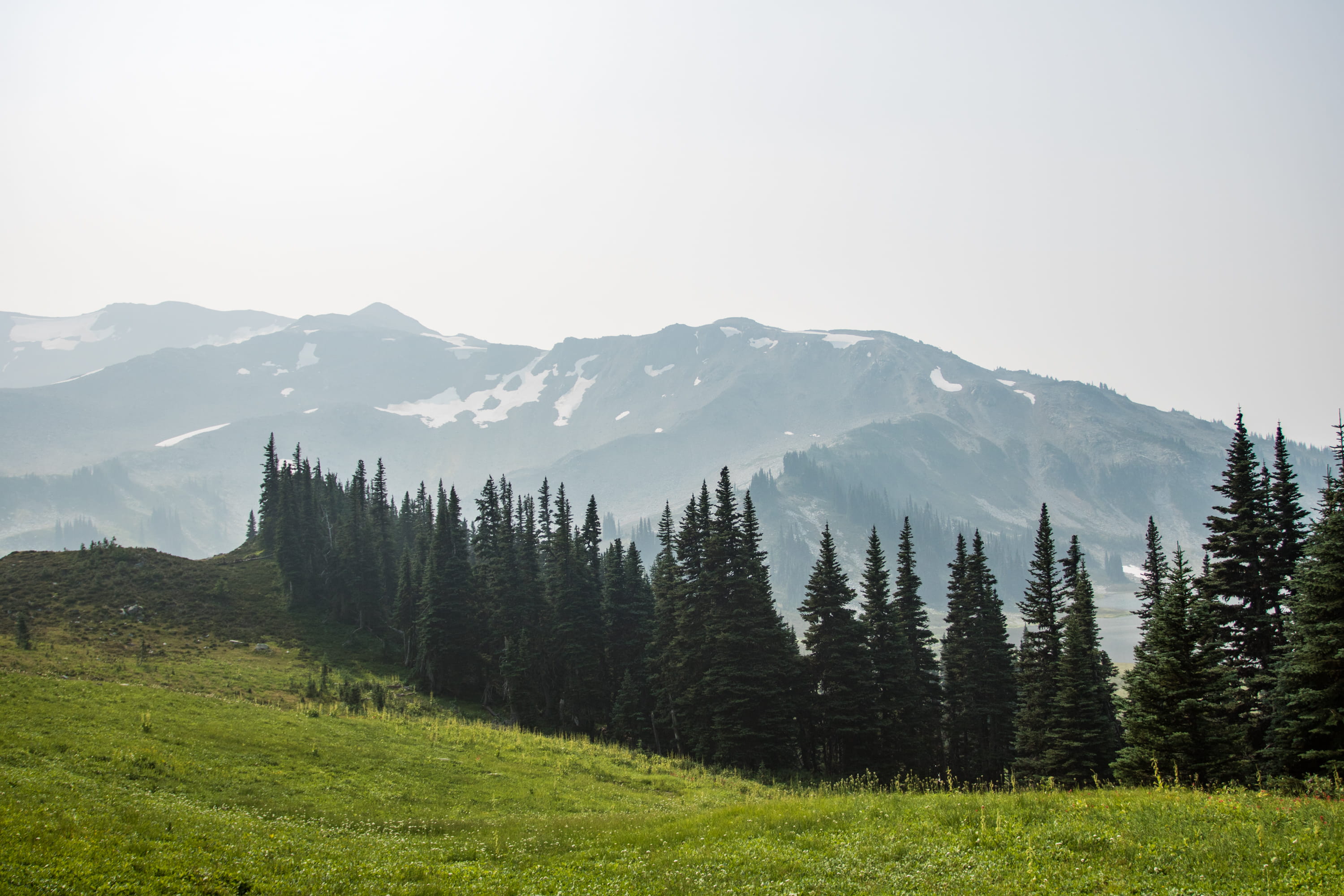 sky, whistler, beauty in nature, nature, mountain range, coniferous tree, mountains, outdoors, grass, pine tree, 2K, field, vegetation, tranquility, remote, HD Wallpaper