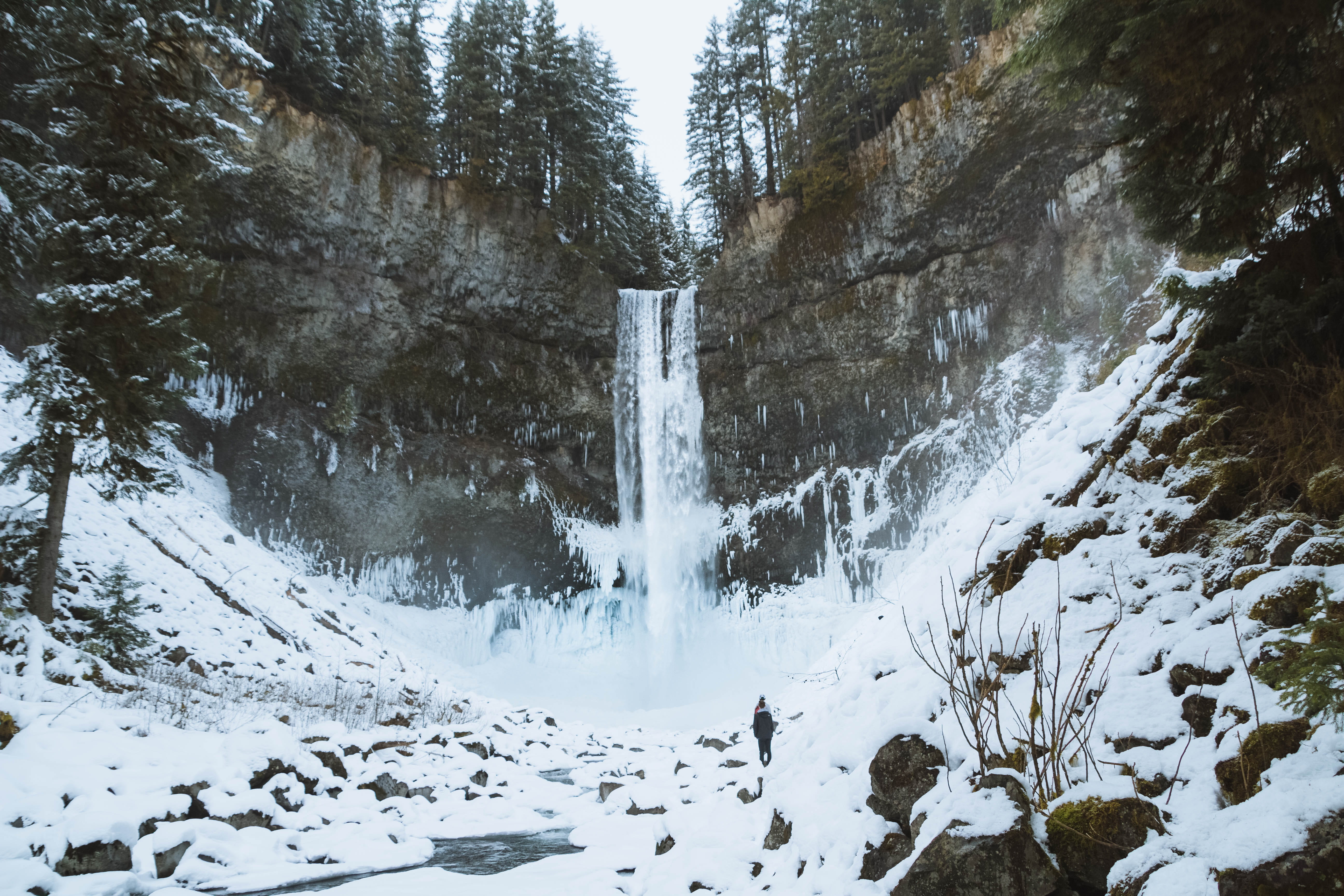 scenics - nature, nature, covering, plant, brandywine falls provincial park, 5K, water, forest, flowing water, tranquility, white color, land, tree, canada, HD Wallpaper