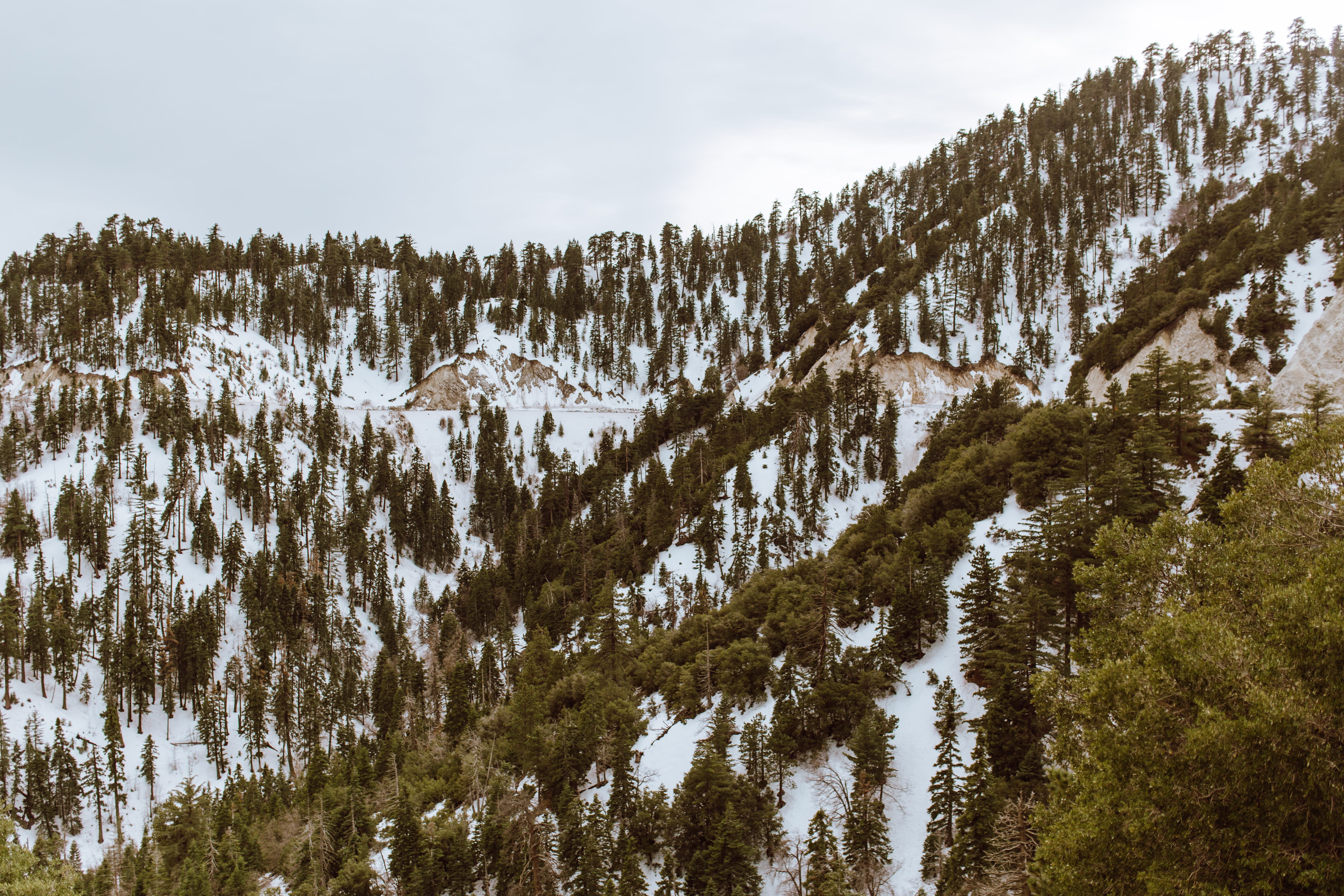 cold temperature, mountain, trees, tree, outdoors, getaway, nature, winter holiday, day, mountains, beauty in nature, vacation, united states, plant, sky, HD Wallpaper