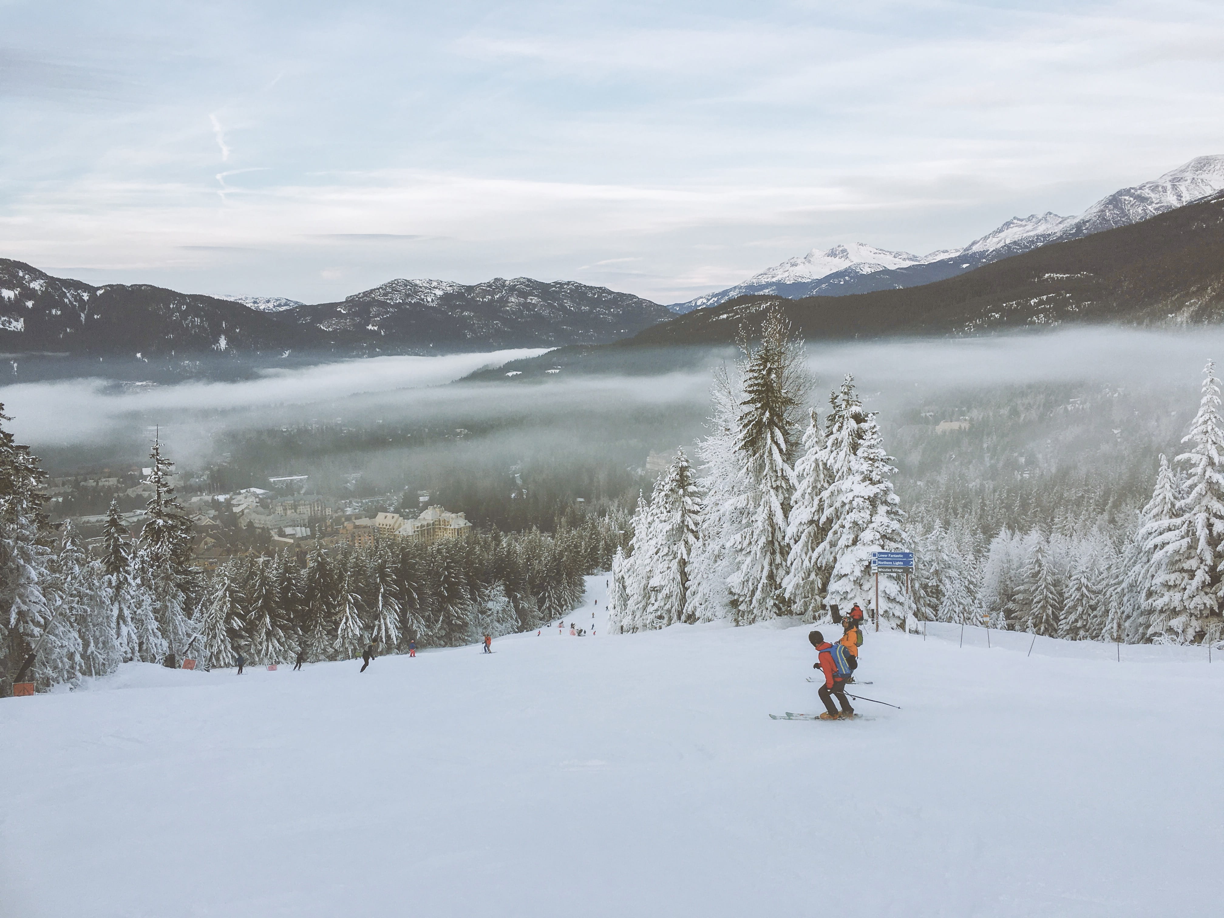 human, 4K, pine, whistler, warm clothing, winter, snowcapped mountain, leisure activity, spruce, winter sport, sport, tree, whistler blackcomb, day, piste, HD Wallpaper