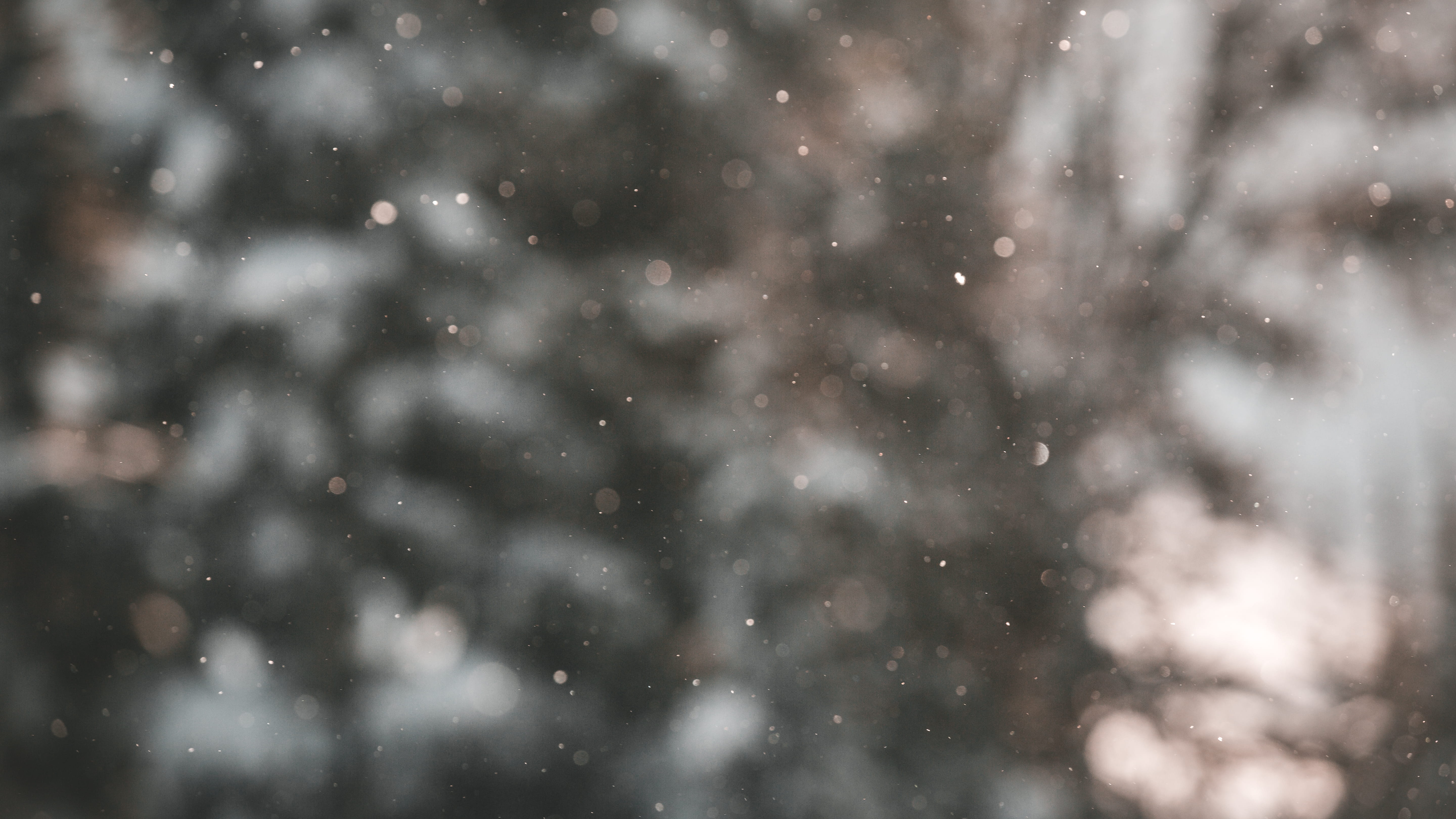 canada, sky, bokeh, blizzard, storm, cold, motion, cold temperature, textured effect, nature, no people, blurry, wilderness, extreme weather, background, HD Wallpaper