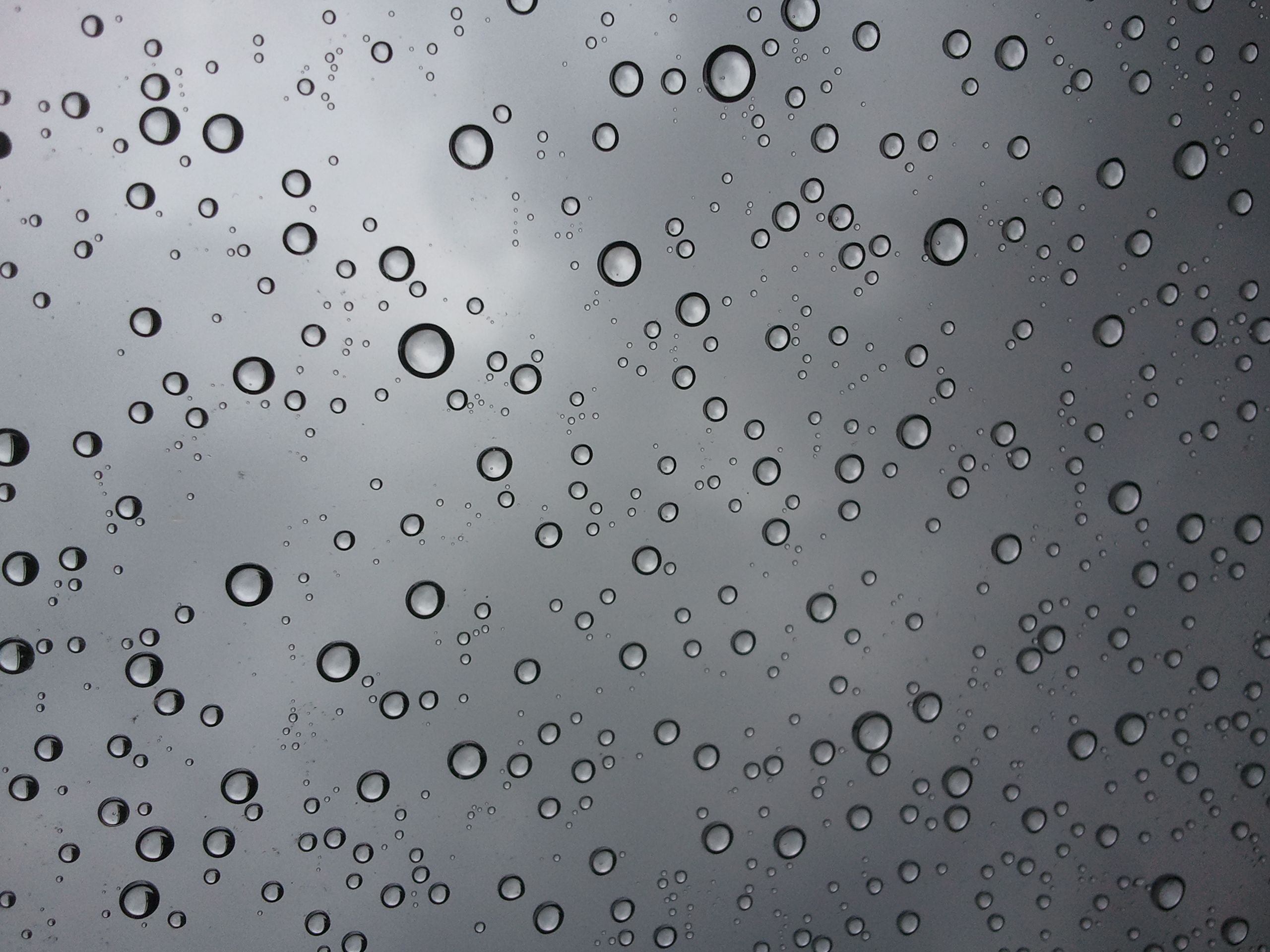 2K, drops, water, condensation, textures, wet, HD Wallpaper