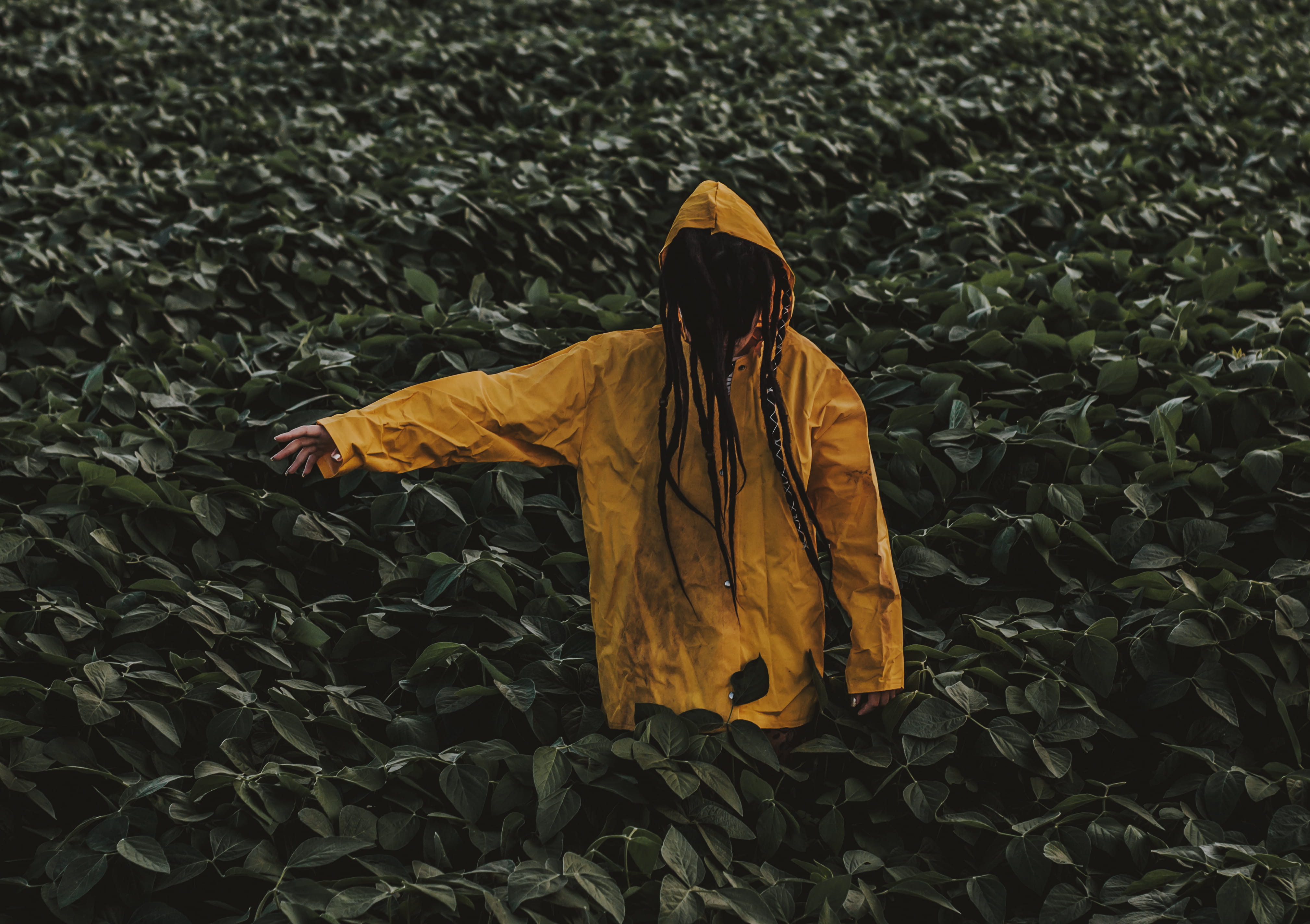 clothing, leaf, yellow, wearing, farmland, farming, landscape, lifestyles, day, rear view, outdoors, land, three quarter length, real people, one person, HD Wallpaper