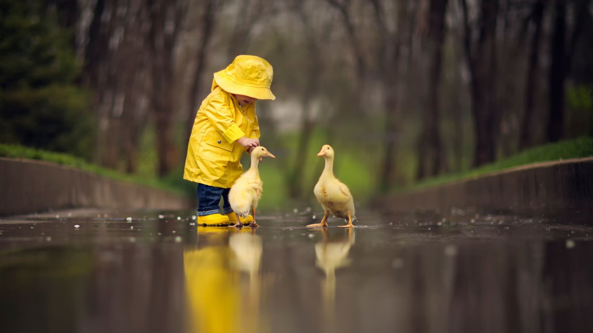 tree, child, nature, one animal, desktop, rain, 1080P, yellow, childhood, males, day, animals in the wild, one person, bird, men, rainy season, raincoat, HD Wallpaper