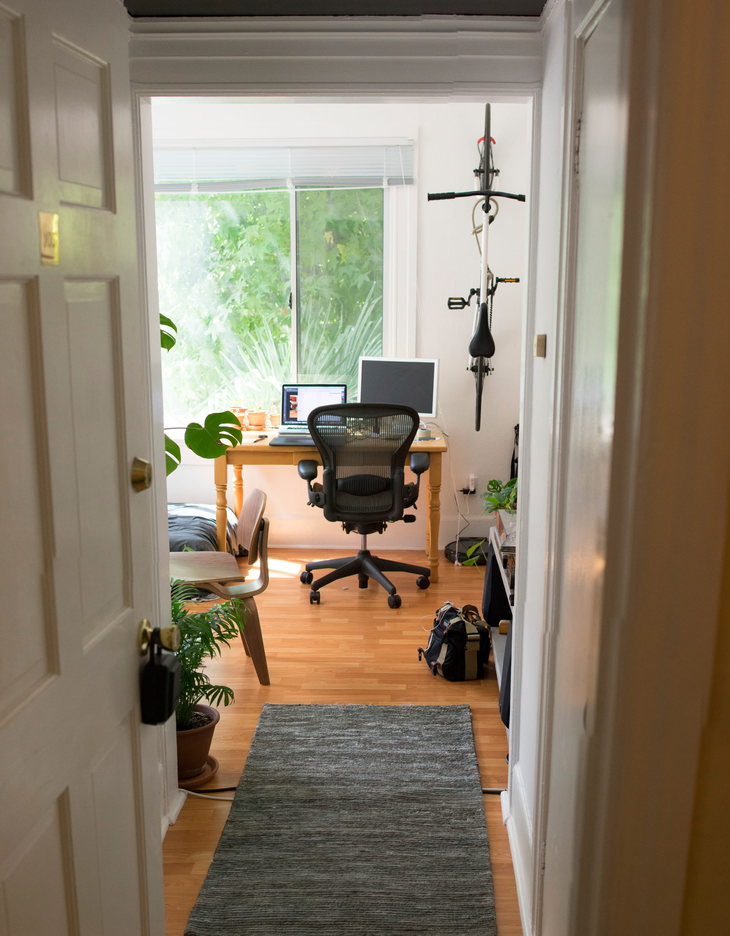 2K, window, ceiling, plant, chair, light, home interior, aeron, absence, palm, doorway, computer, wood - material, door, no people, modern apartment, eames, Phone HD Wallpaper