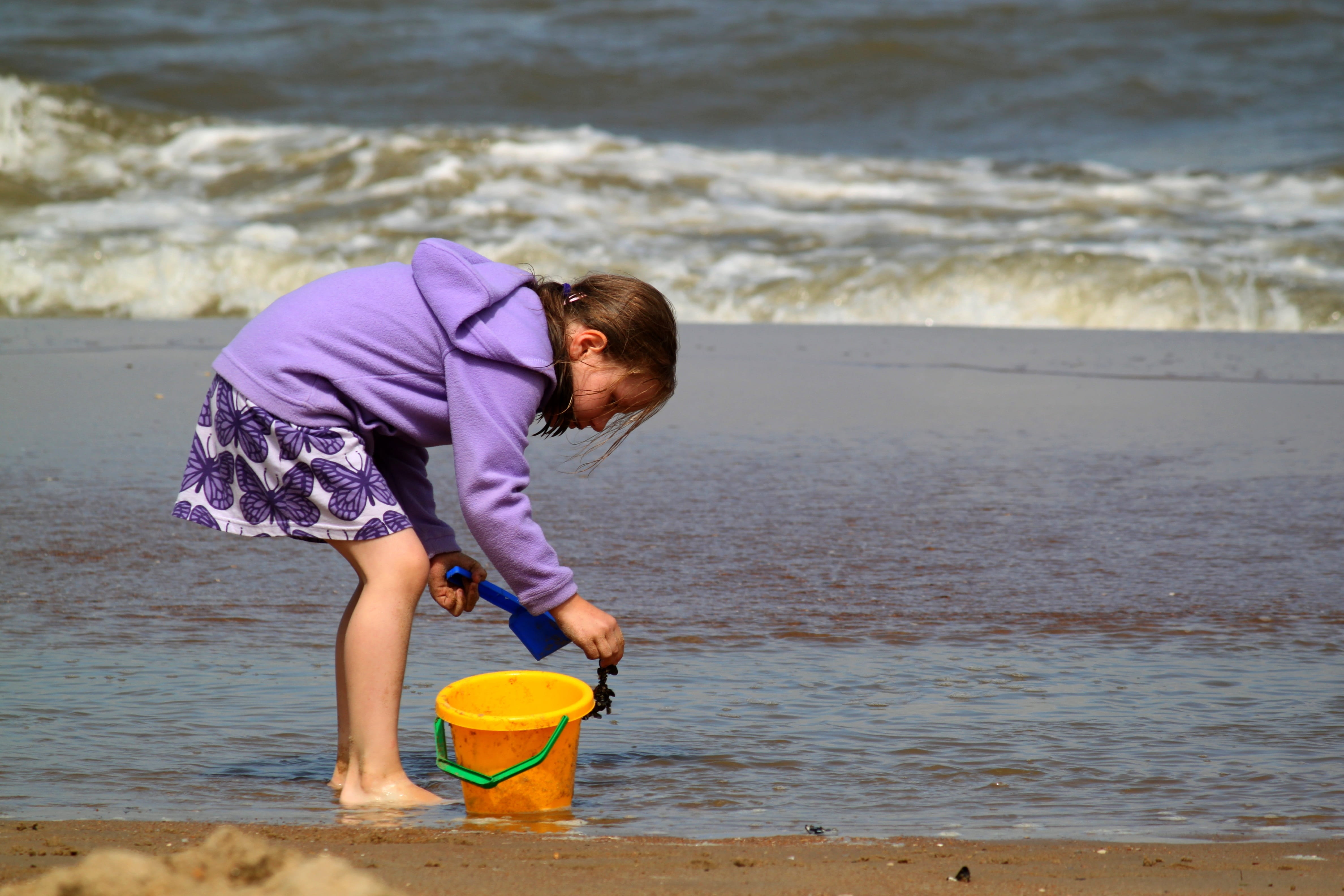collect, girl, sand bucket, relax, bending, outdoors, beach, wave, water, land, caucasian Ethnicity, one Person, sunlight, coastline, search for mussels, HD Wallpaper