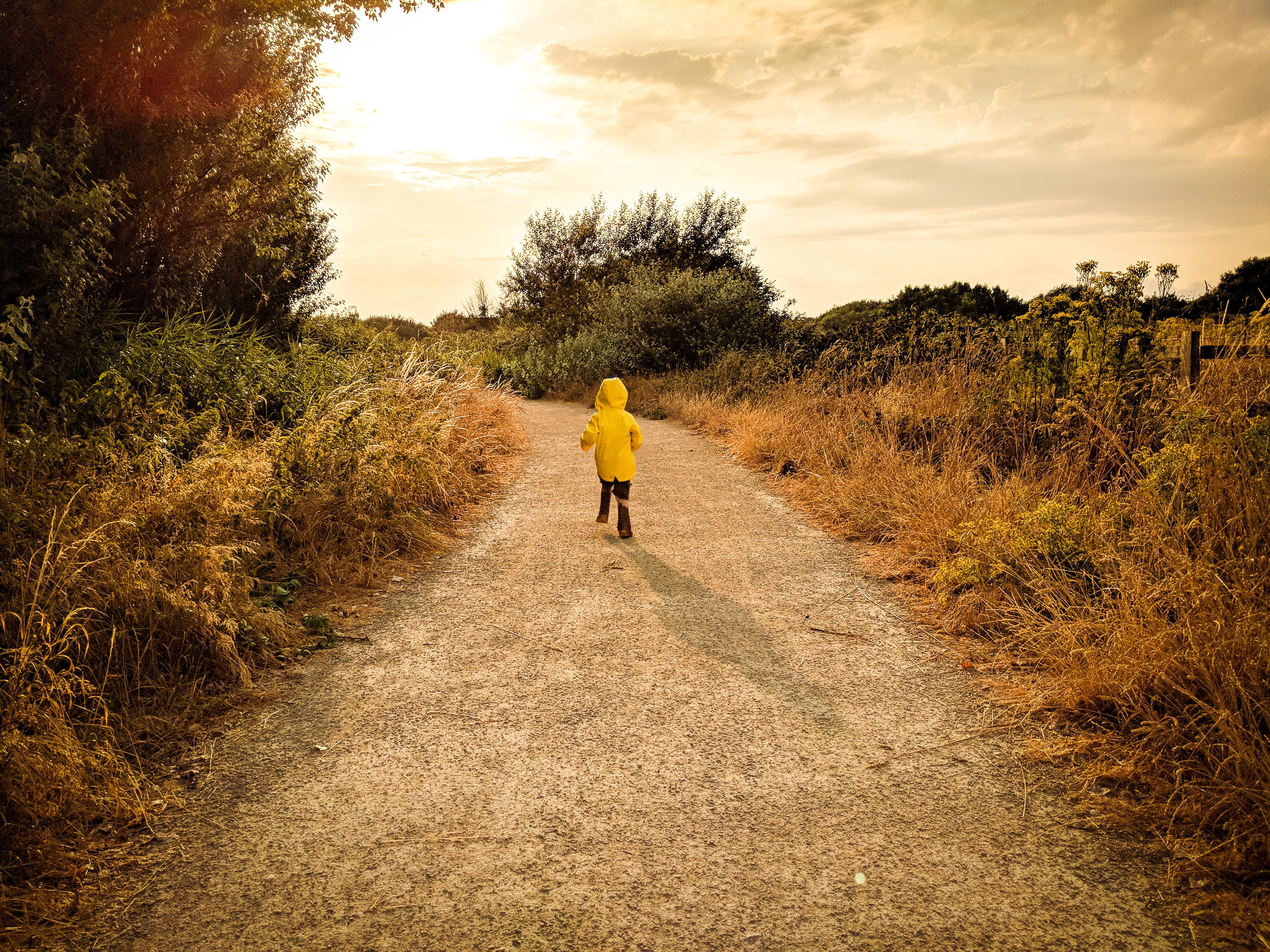 rear view, walking, full length, children, goodbye, cloudy, happy, toddler, outdoors, pre-school, one person, women, tree, golden, real people, direction, HD Wallpaper