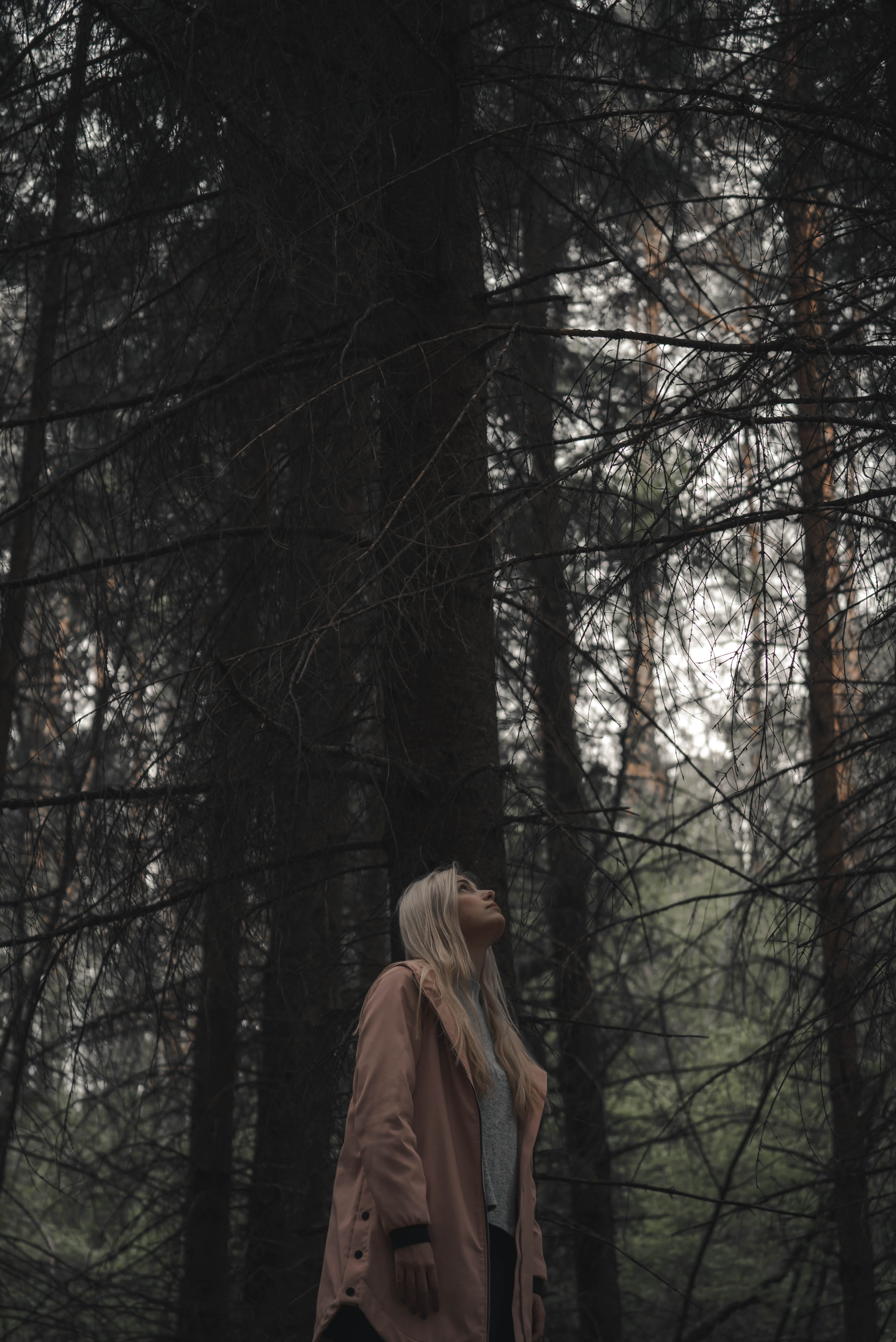 walking, leisure activity, forest, jacket, scarf, poncho, land, lifestyles, plant, adult, sweatshirt, clothing, coat, apparel, one person, sleeve, human, Phone HD Wallpaper
