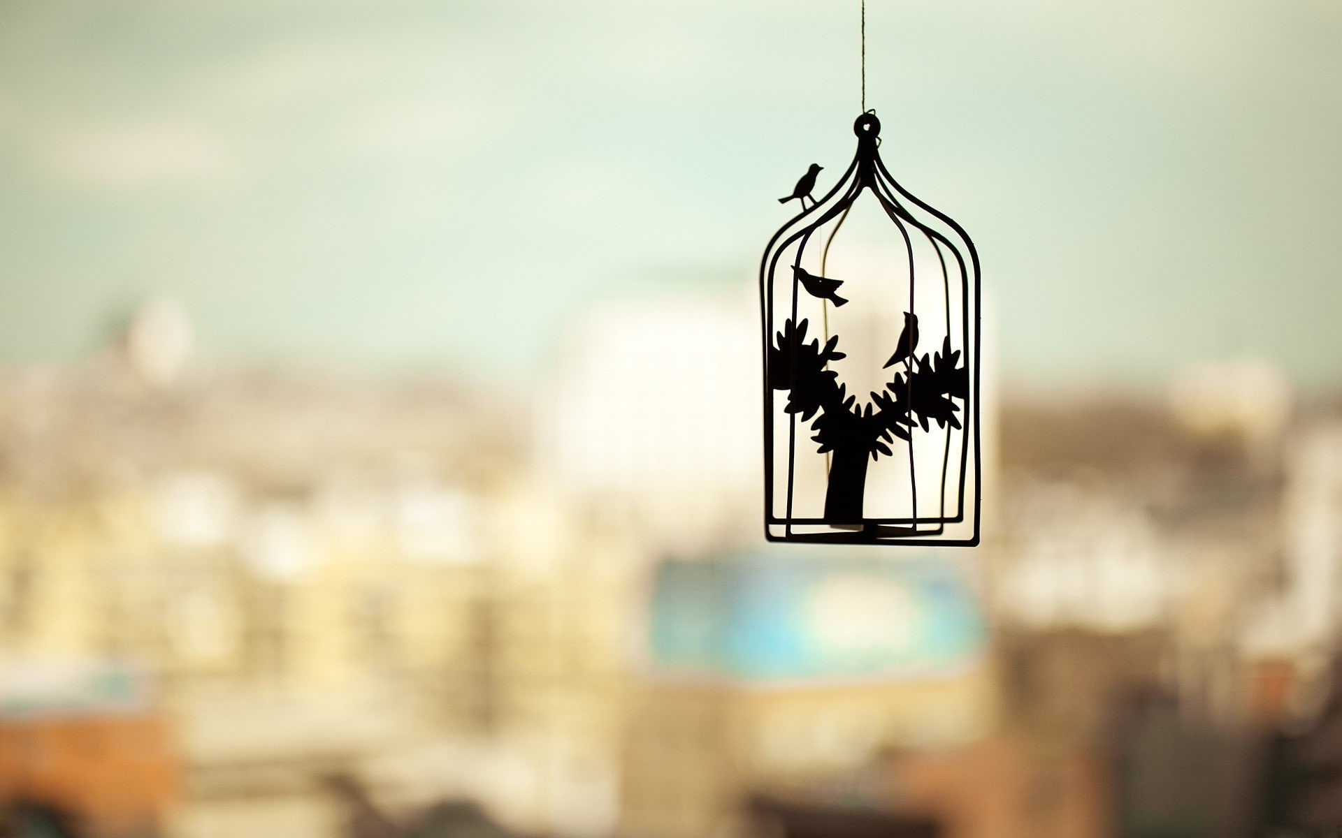 depth of field, birds, silhouette, cityscape, 1080P, photography, cages, trees, HD Wallpaper