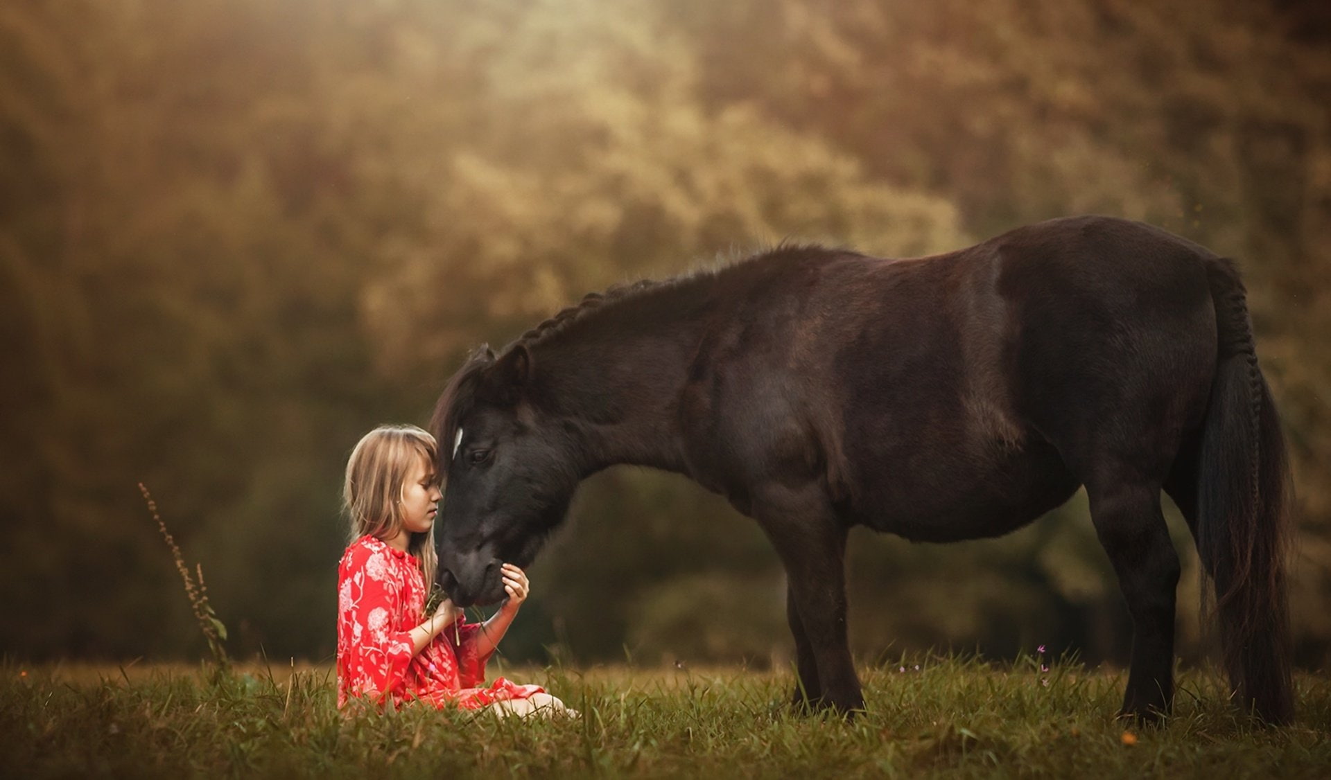 Friend, Horse, Depth Of Field, Little Girl, Blonde, 1080P, Girl, Child, Photography, HD Wallpaper