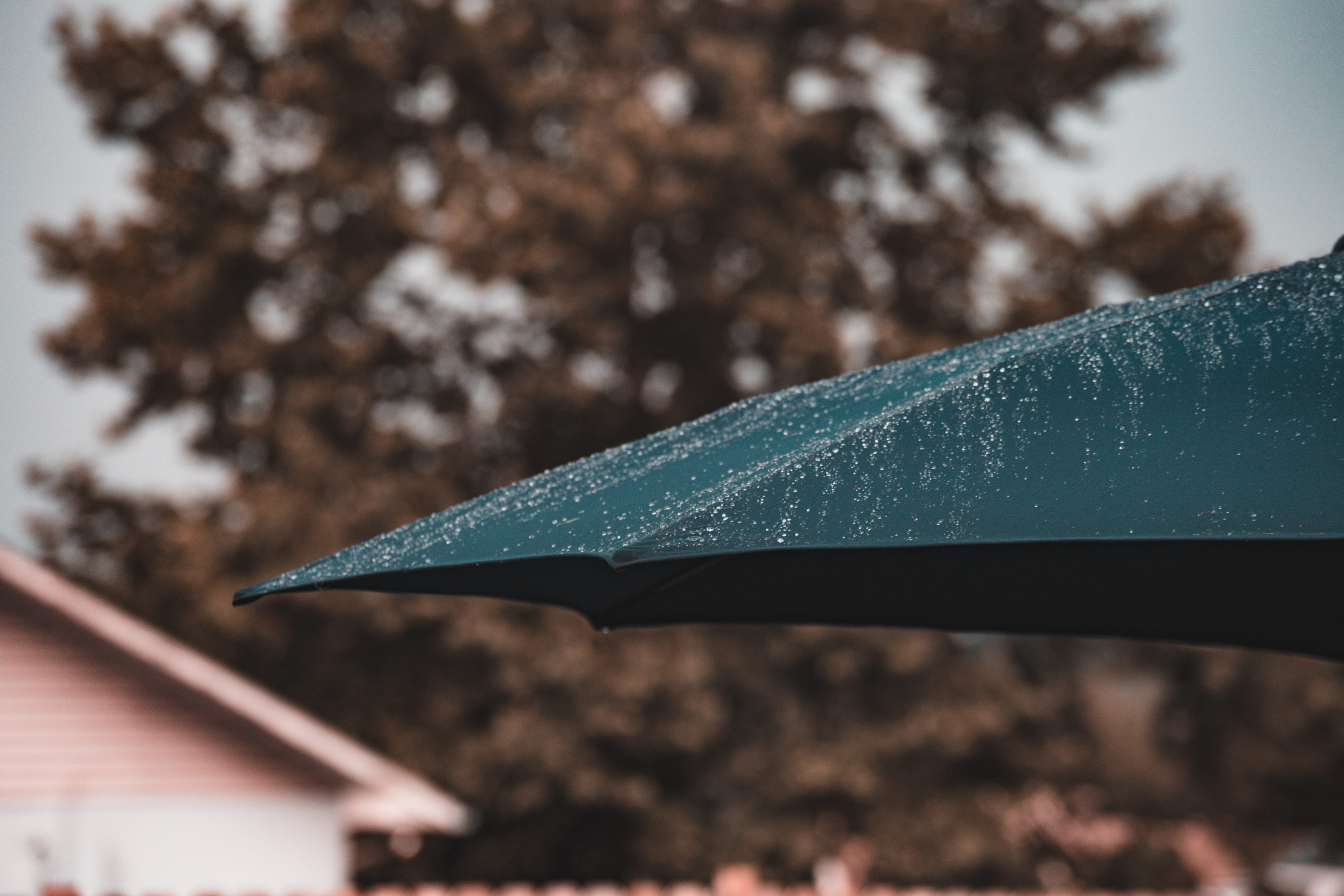 rain, umberella, trees, built structure, winter, summer, cold temperature, plant, focus on foreground, 5K, raindrop, drop, outdoors, umbrella, wet, water, HD Wallpaper