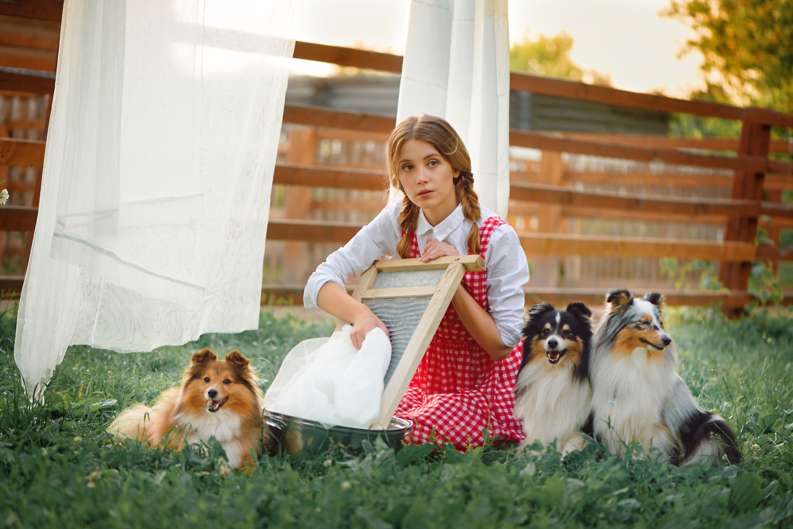 looking away, Ksenia Kokoreva, fence, women, depth of field, sheet, braids, white shirt, shirt, women outdoors, pet, animals, portrait, brunette, dog, outdoors, HD Wallpaper