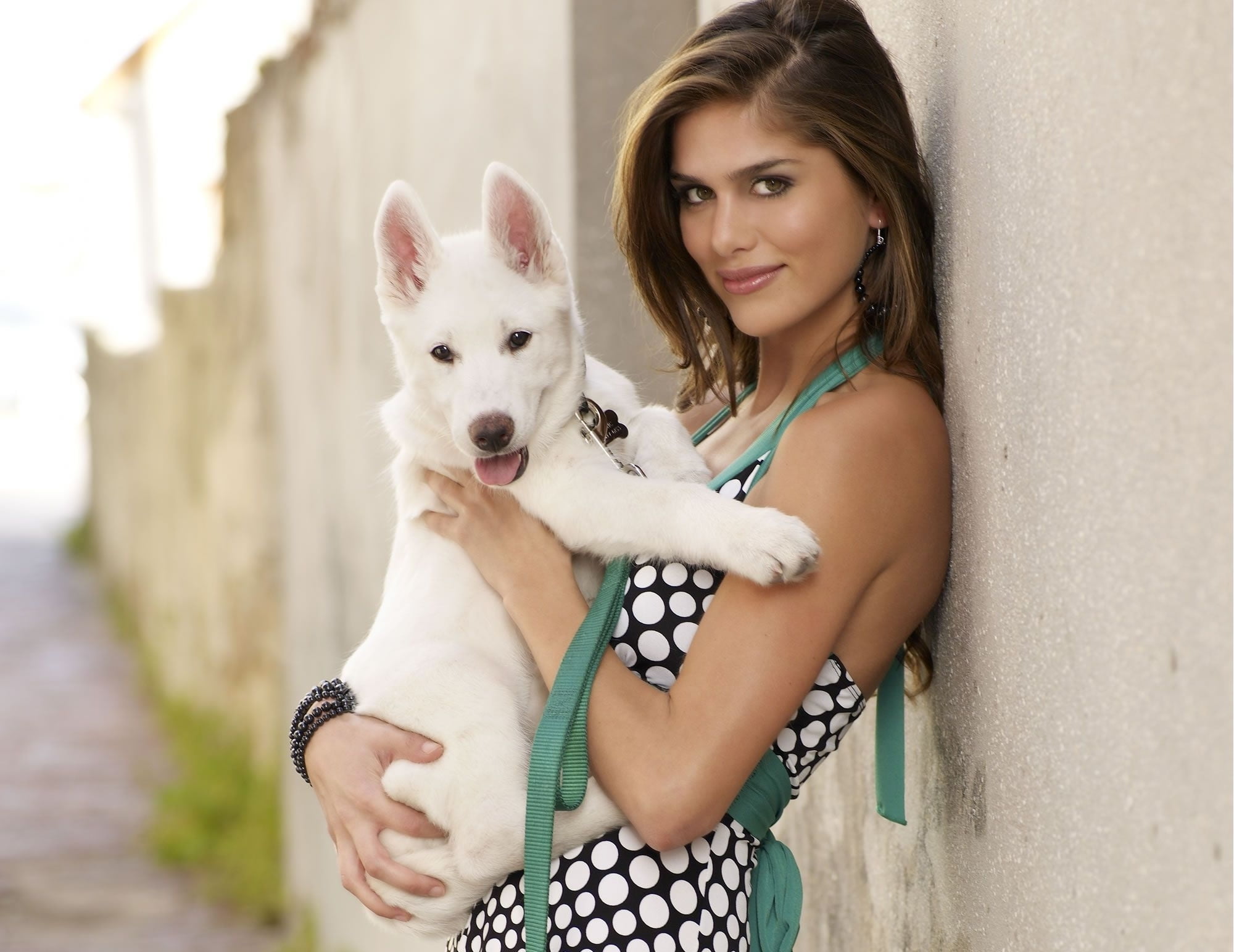 young adult, looking at camera, black, canine, mammal, s, portrait, dot, Anahi Gonzales, pets, white, 1080P, dog, puppy, domestic, adult, one person, happiness, HD Wallpaper