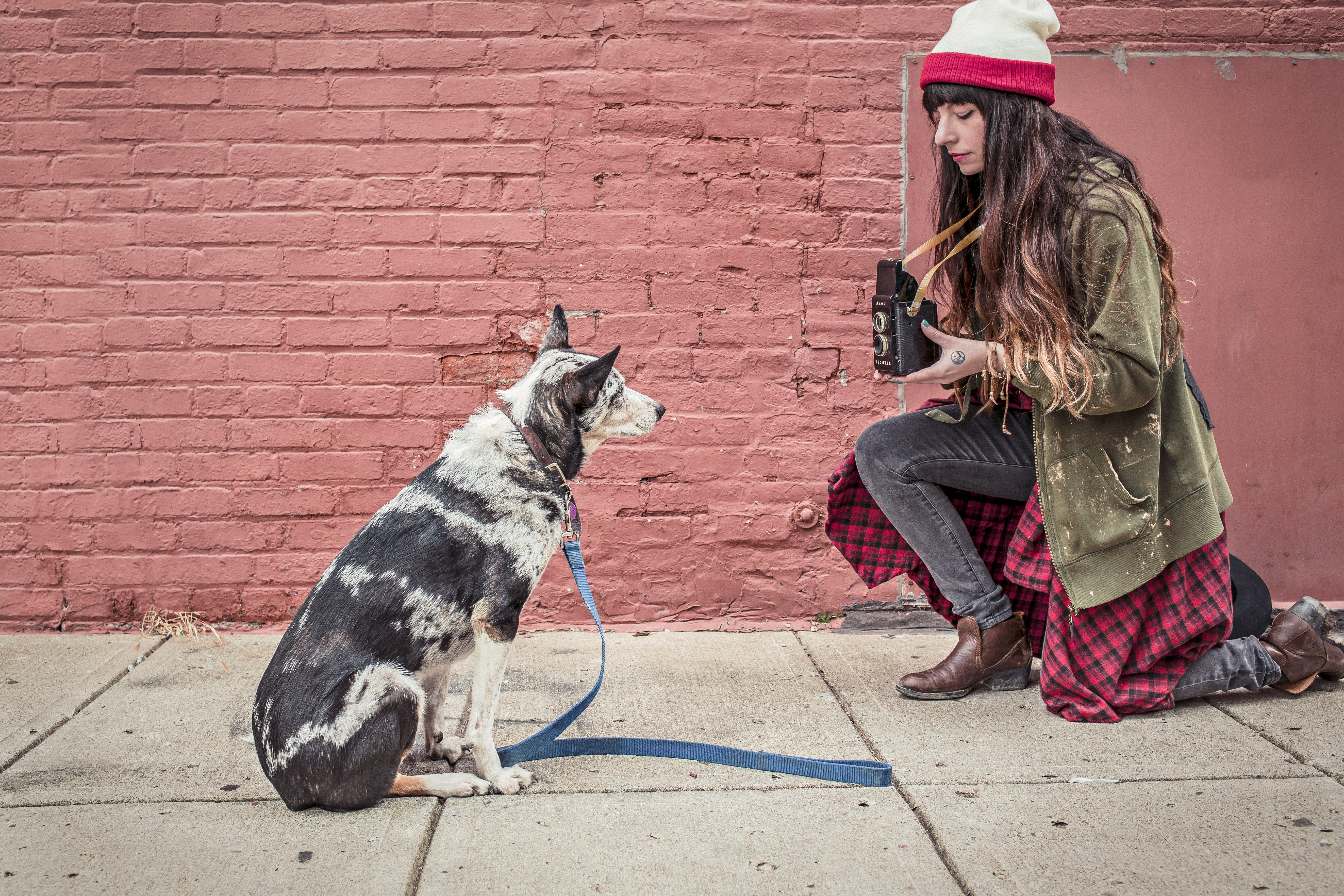 jacket, street, woman in green, one animal, green, casual clothing, animals, outdoors, mammal, silly, lady, adult, wall, dog, lazy, canine, females, full length, HD Wallpaper