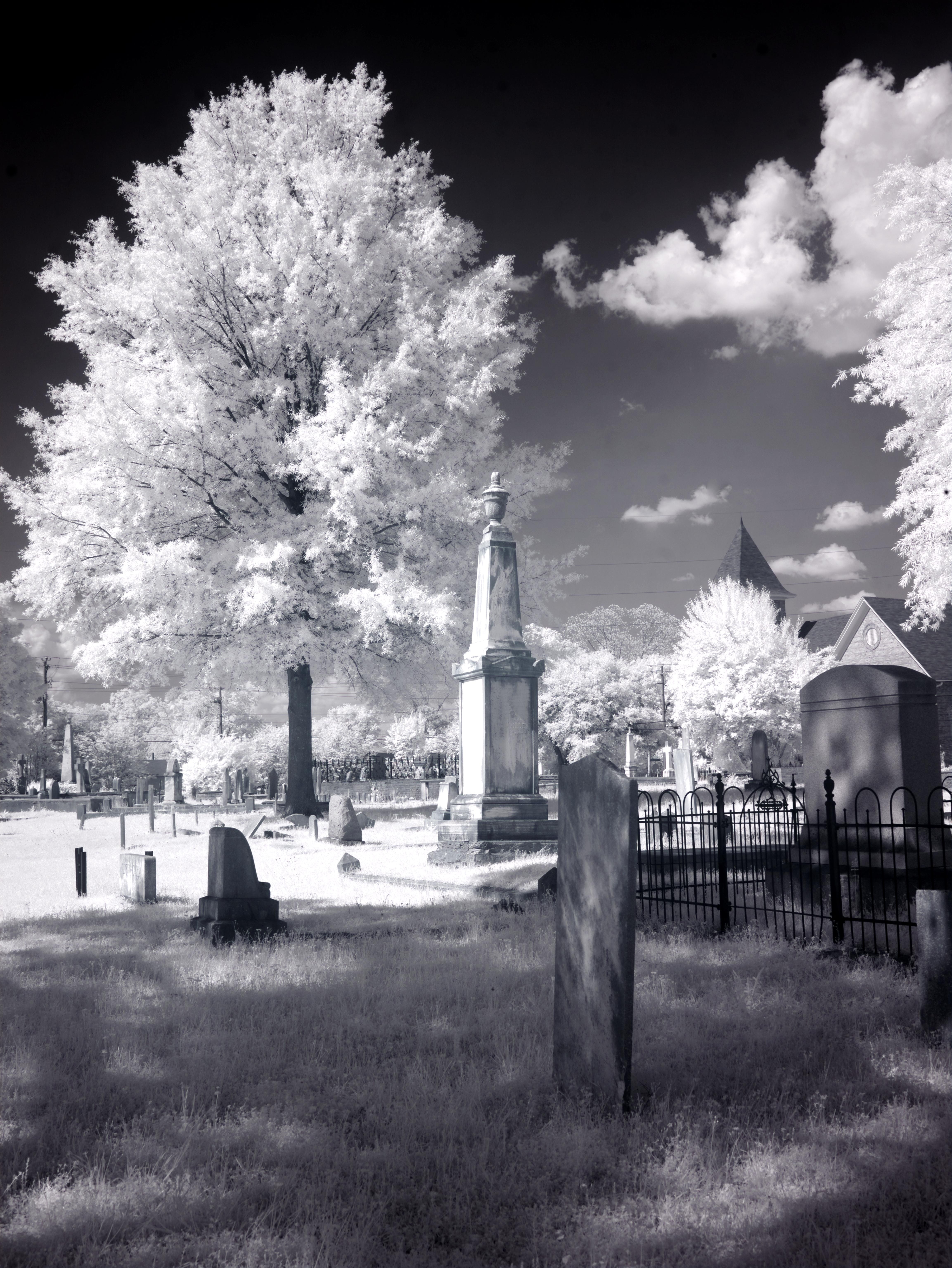 greenwood cemetery, Usa, religion, grave, United States, mourning, sw, sadness, greenwood, away, magnolia, history, silent, 5K, no people, black and white, Phone HD Wallpaper