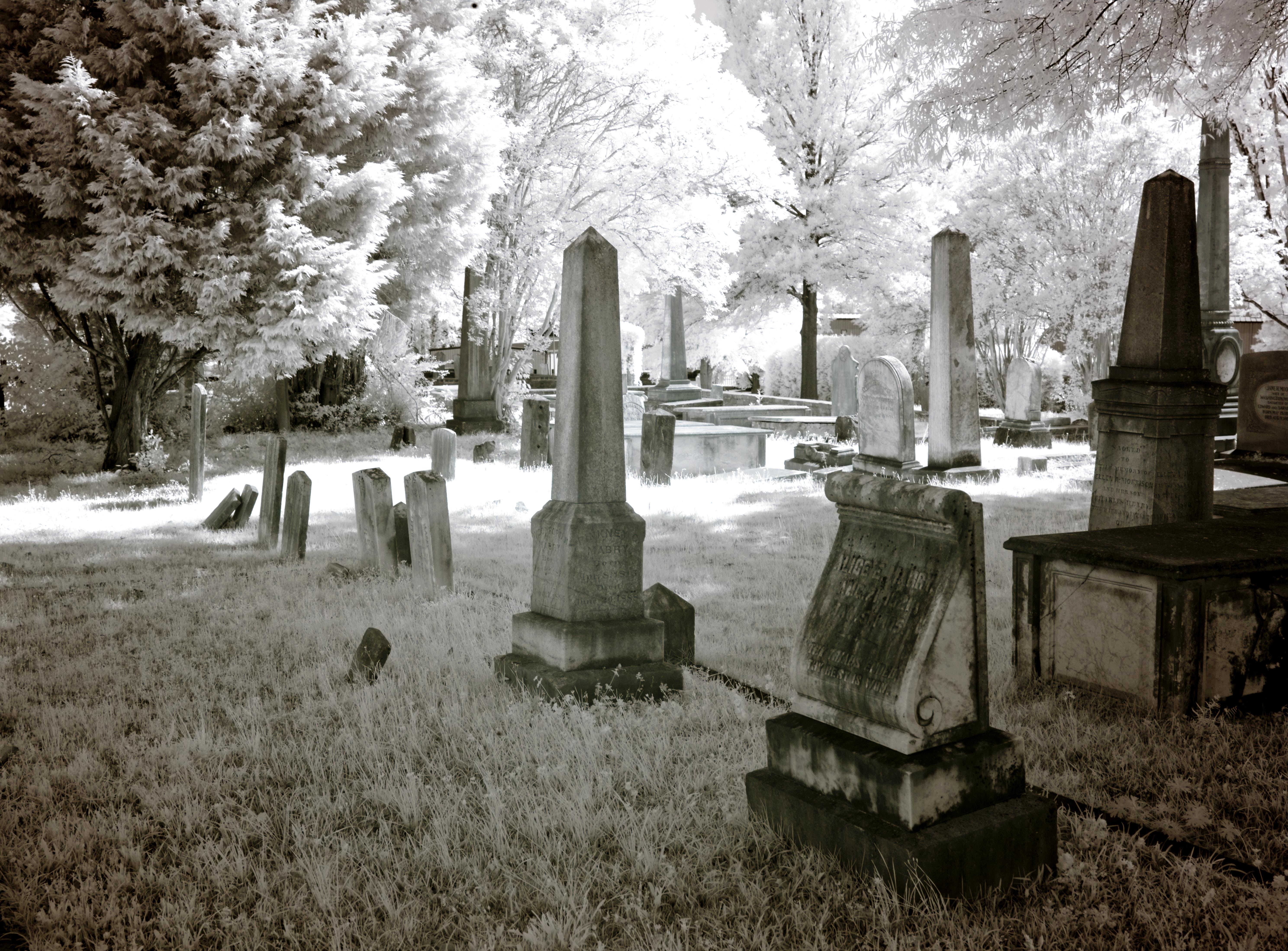 north america, plant, silent, greenwood cemetery, outdoors, no people, resting place, america, spooky, day, greenwood, architecture, tuscaloosa, sw, tombstone, HD Wallpaper