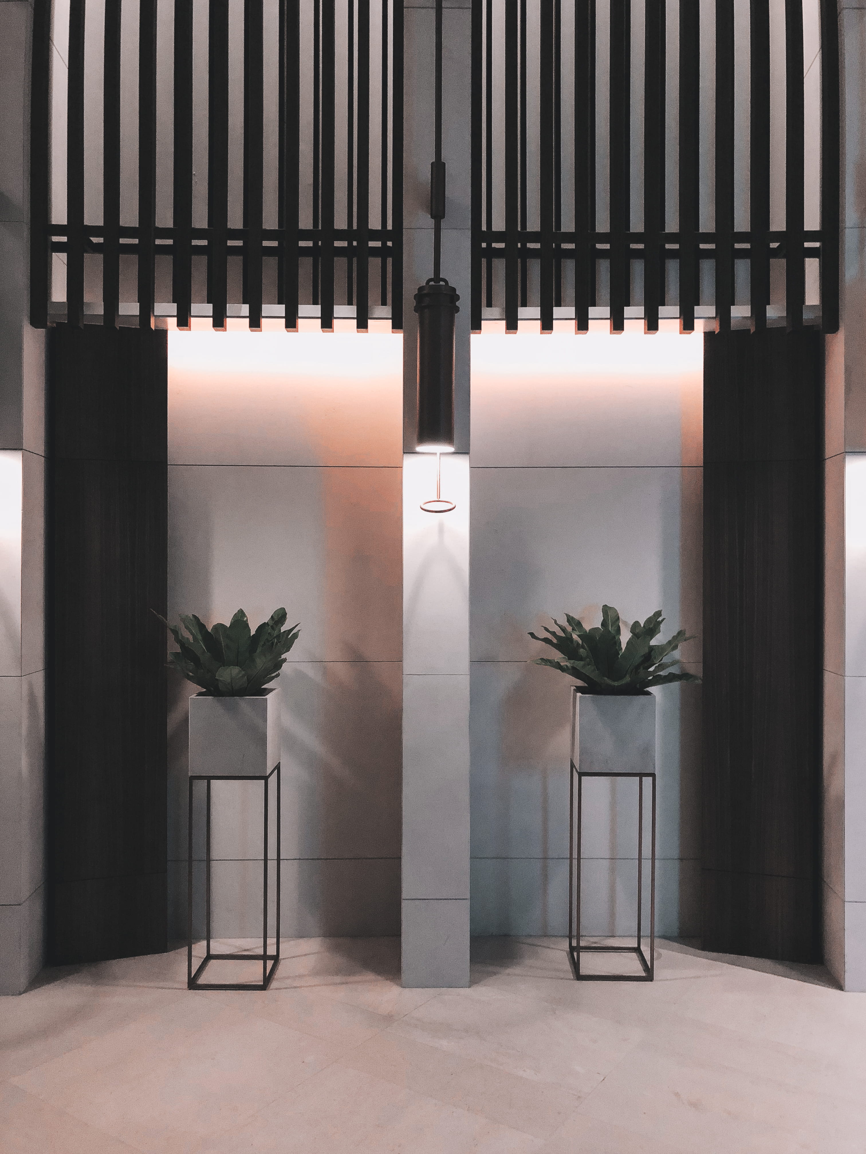 gate, andaz, indoors, home decor, art and craft, built structure, no people, palm tree, plant, folding door, building exterior, wall - building feature, Phone HD Wallpaper