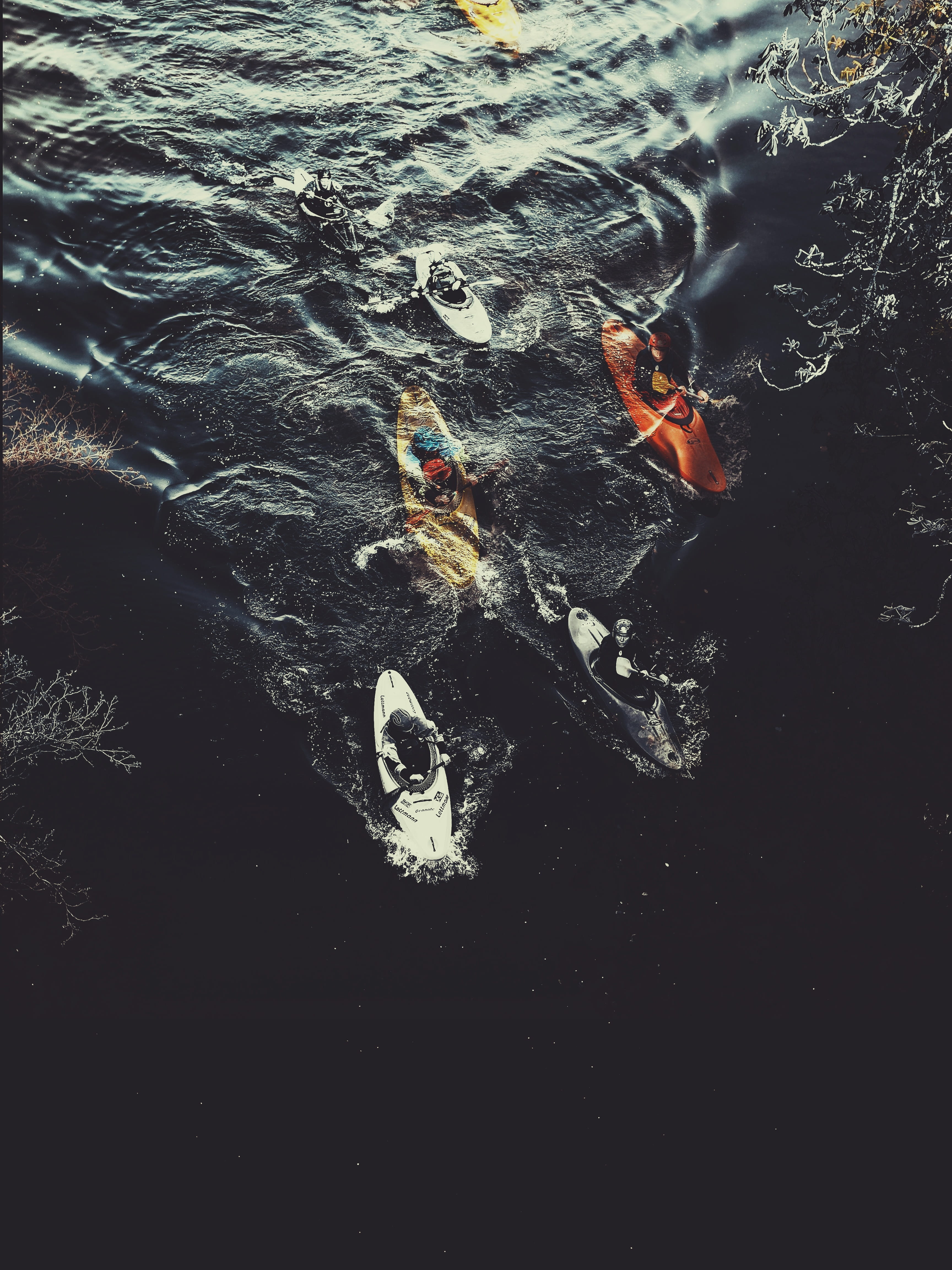 paddle, person, vest, animal wildlife, kayak, oars, lifejacket, sea, clothing, adventure, day, koi carp, water, vertebrate, high angle view, fish, swimming, Phone HD Wallpaper
