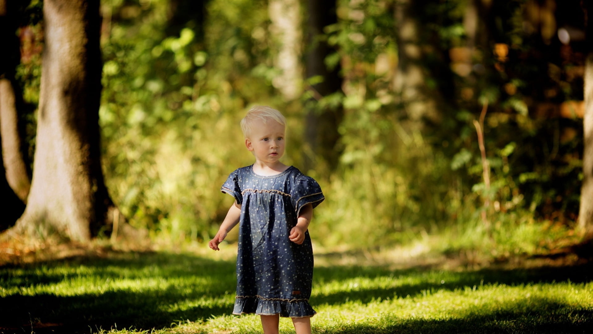 lifestyles, cheerful, sunlight, springtime, beautiful, tree, joy, walk, focus on foreground, summer, beauty In Nature, standing, small, preschool Age, hair, HD Wallpaper