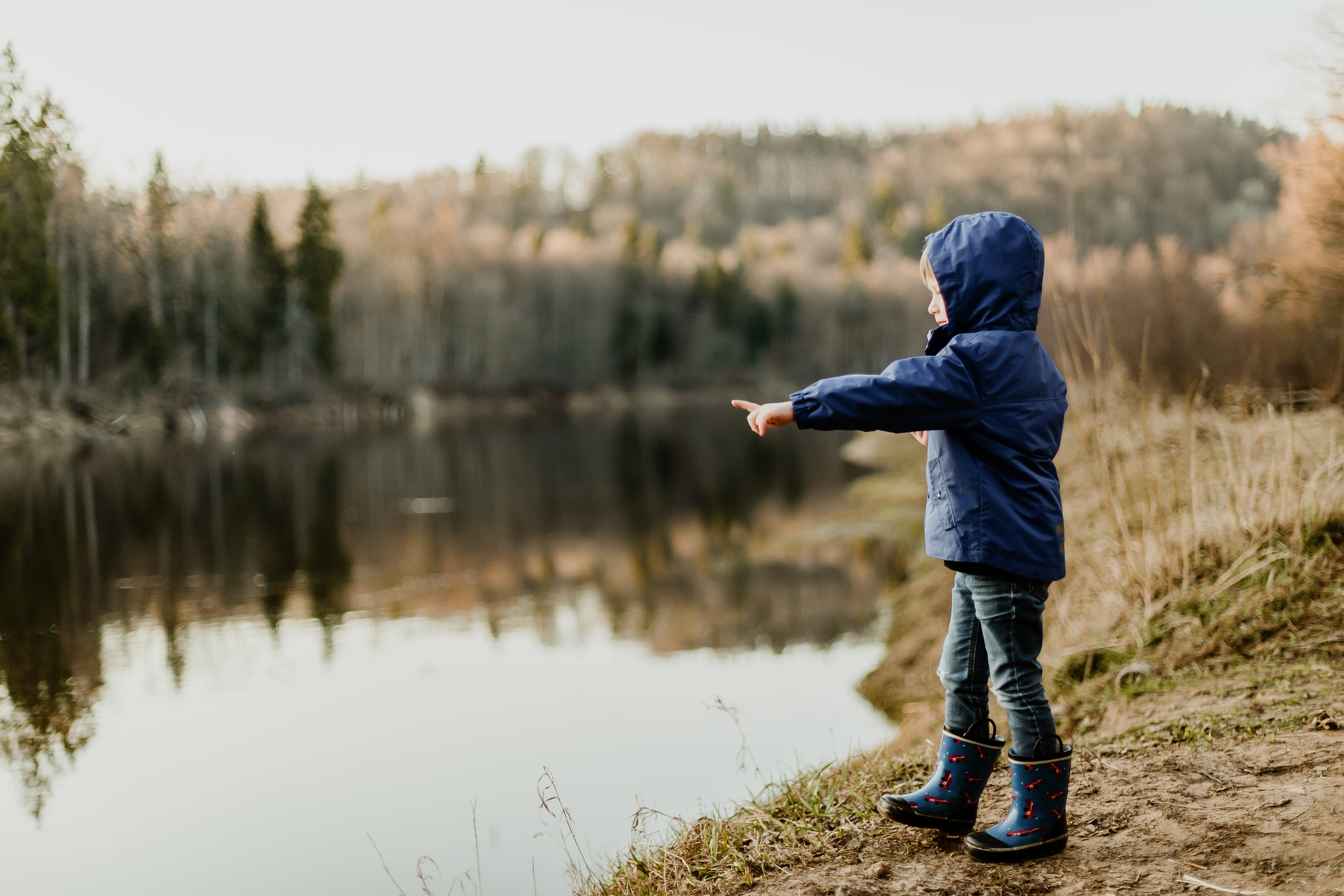 pointing, men, wearing, tree, child, nature, outdoors, real people, full length, one person, hood - clothing, standing, 5K, side view, blue, jacket, leisure activity, HD Wallpaper