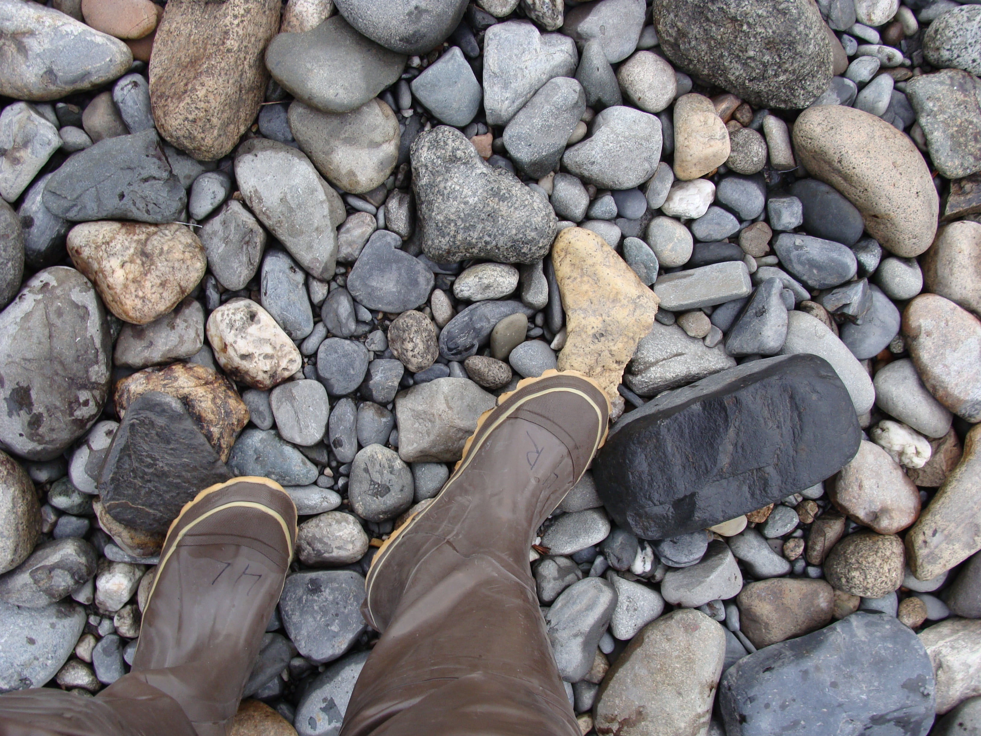 walking, pebble, nature, stone, floor, wellington boot, body part, real people, rock - object, human body part, one person, river, solid, day, feet, rubber boots, HD Wallpaper