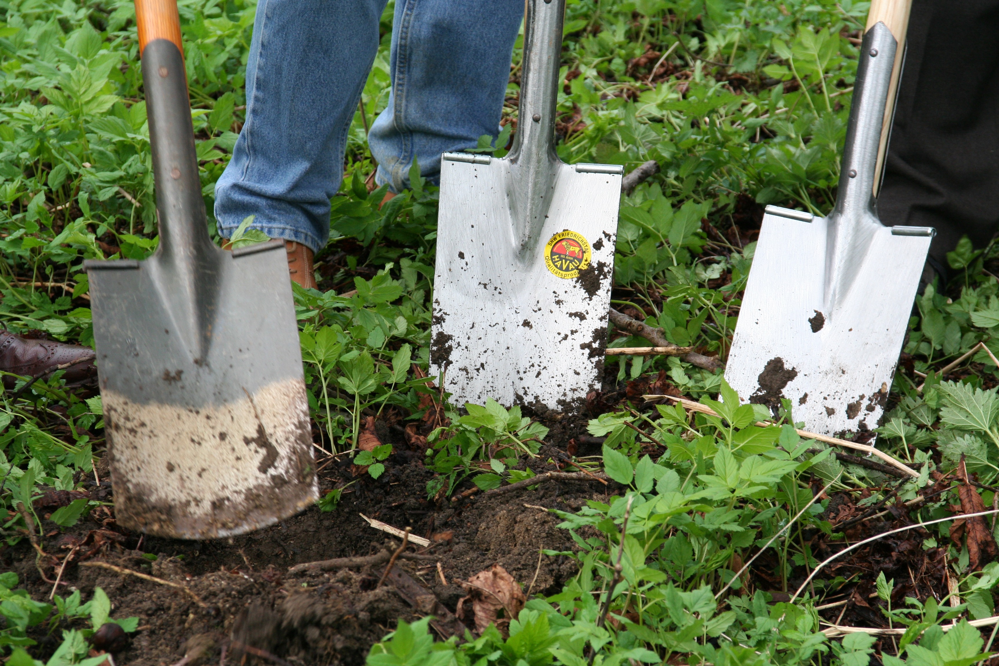 green color, people, garden, gardener, gardening, nursery, tool, blade, ground breaking ceremony, equipment, soil, front or back yard, hand tool, landscape gardener, HD Wallpaper