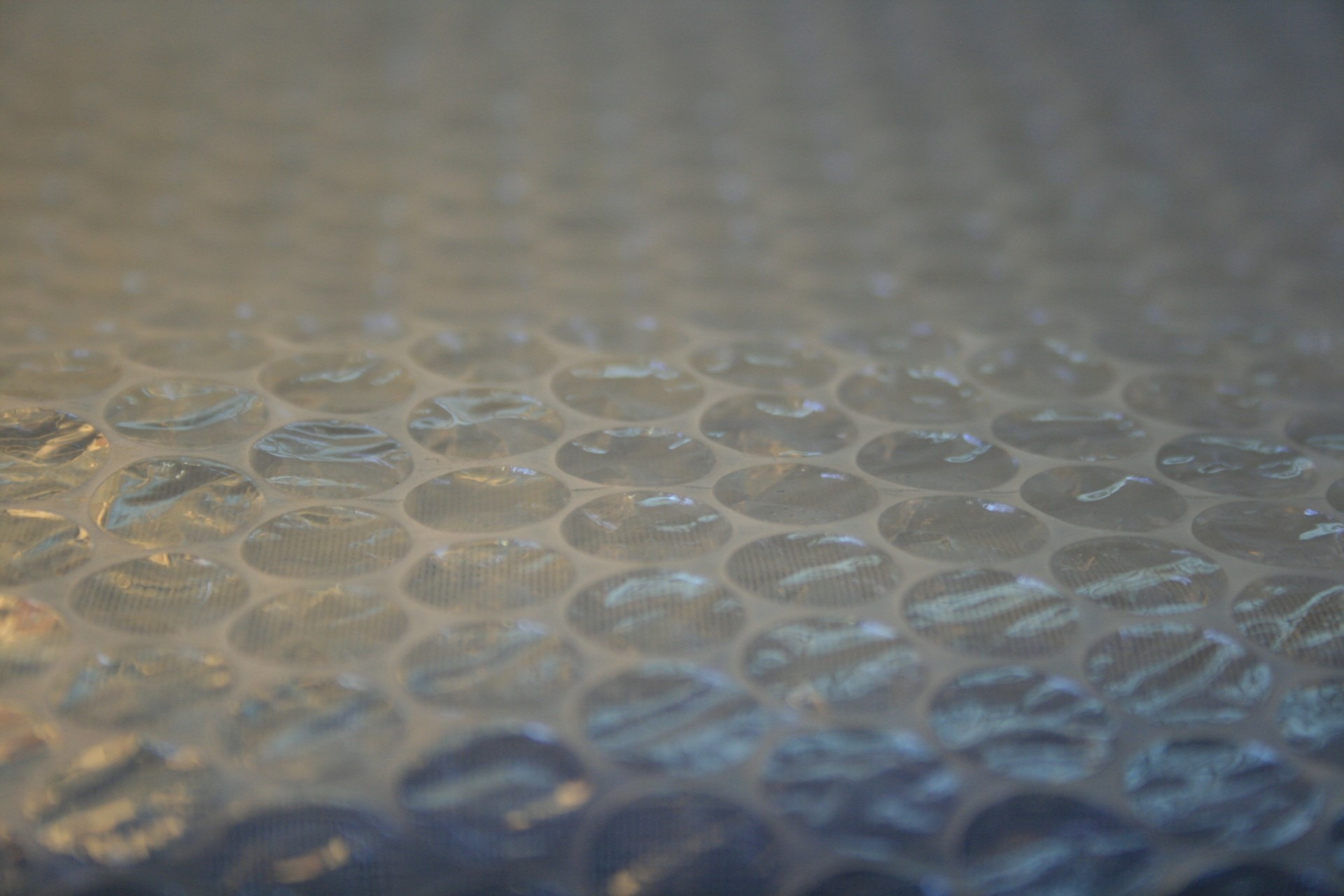 material, wrap, pattern, selective focus, photo, insulation, bubble wrap, delivery, no people, 1080P, bubble, abstract, protect, air, drink, backgrounds, HD Wallpaper