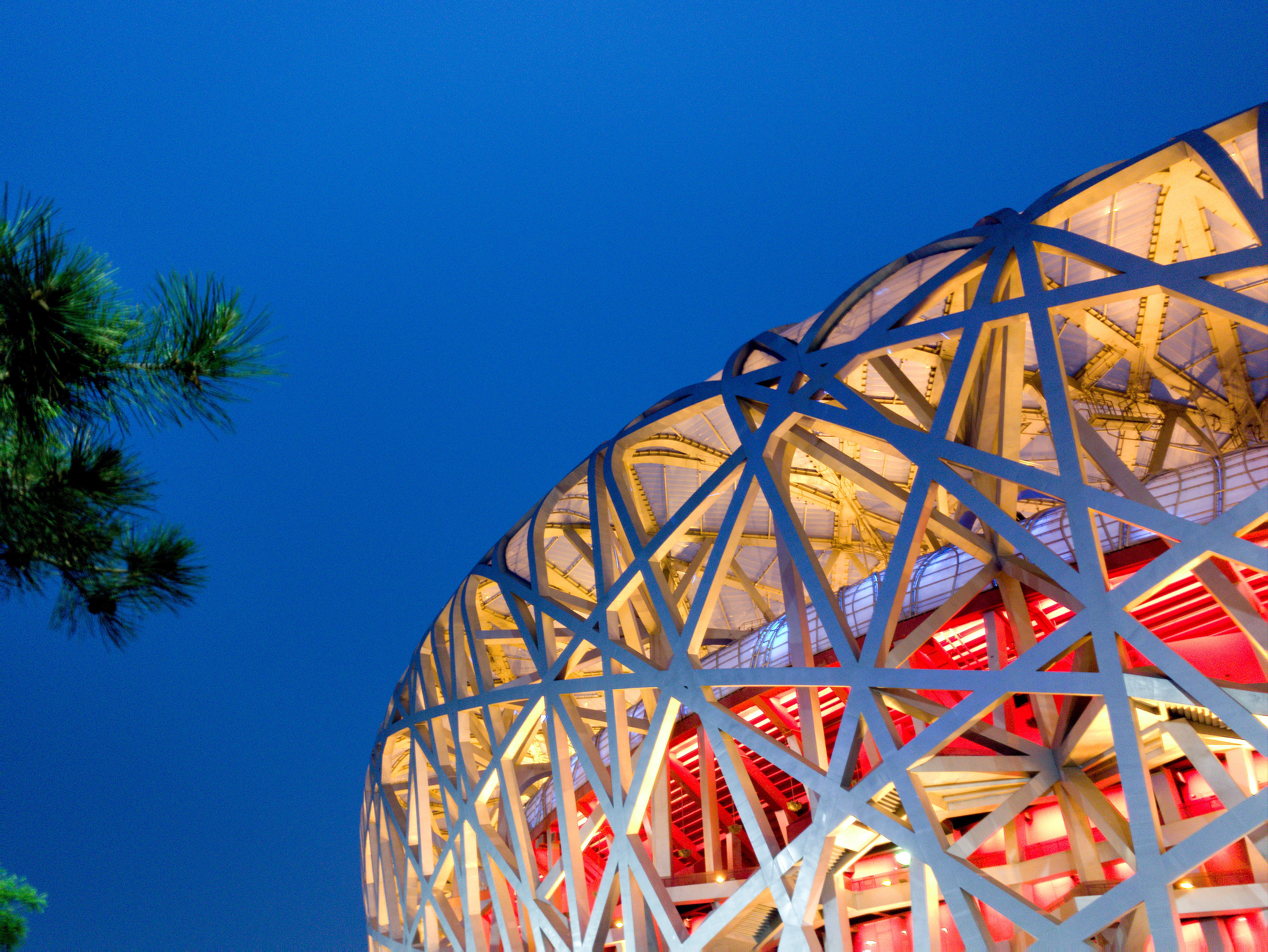 plant, arbour, palm tree, astronomy, tropical climate, outdoors, universe, amusement park, amusement park ride, low angle view, outer space, night, fun, HD Wallpaper