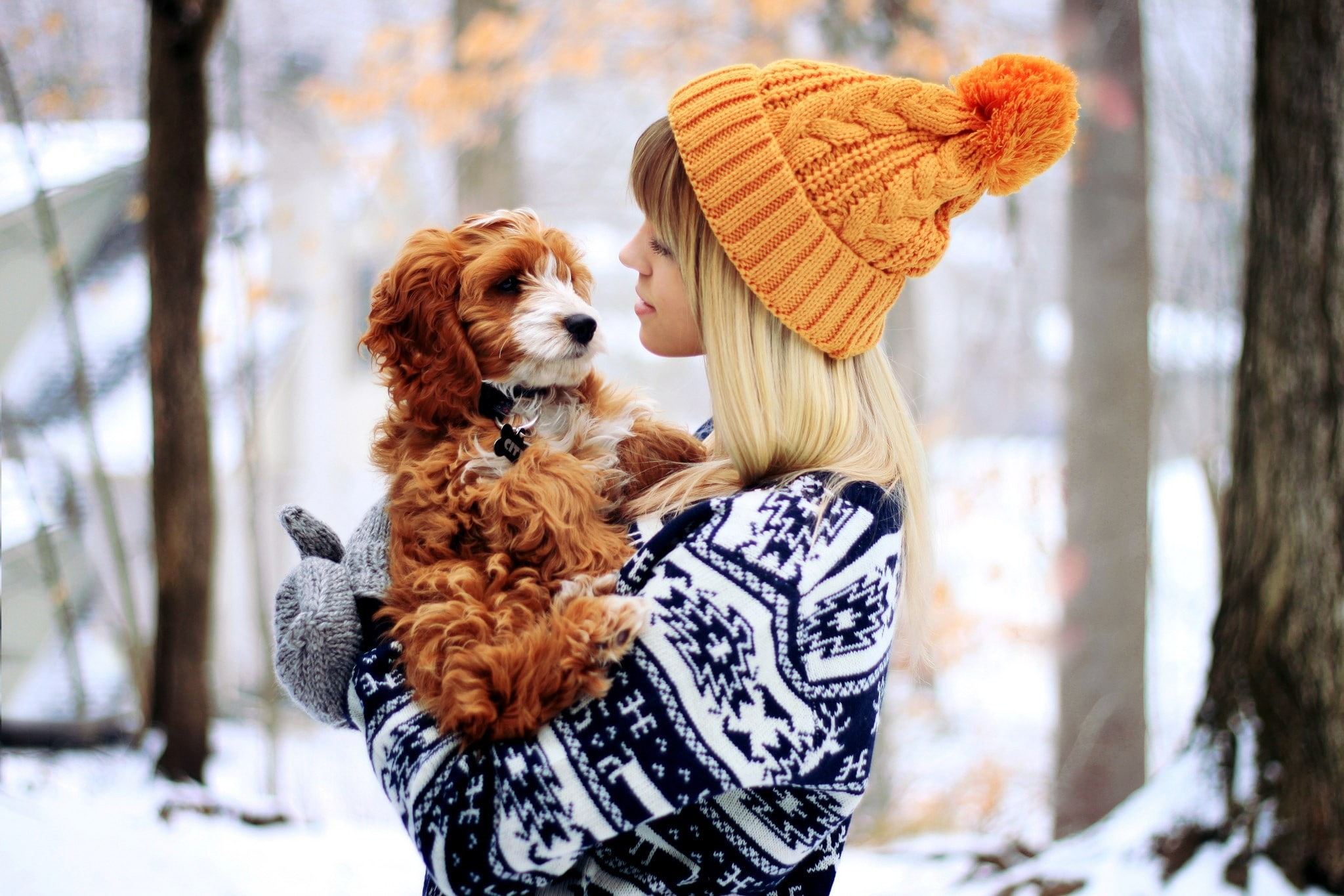 women, bonnet, snow, 1080P, dog, gloves, HD Wallpaper