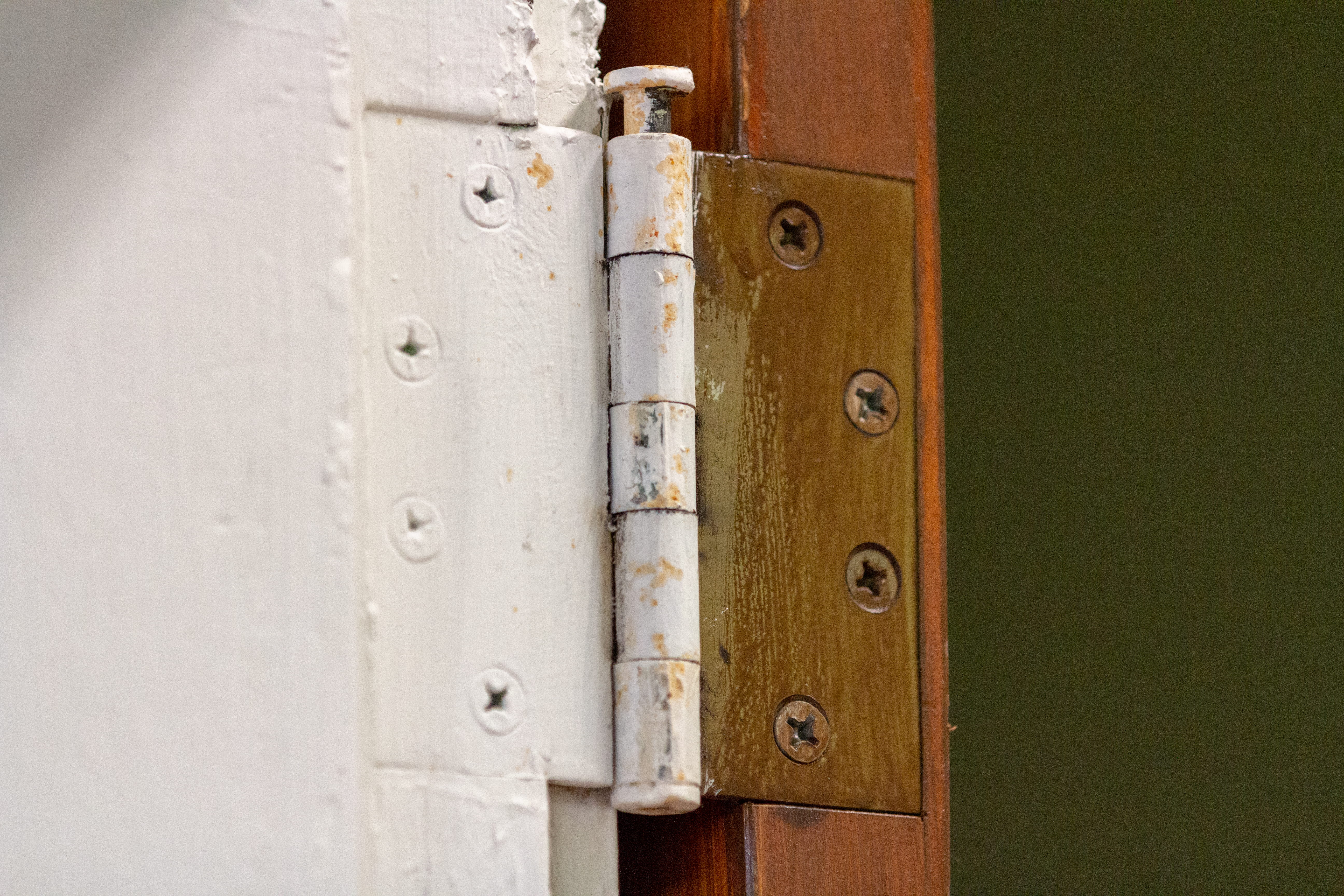 safety, usa, wood - material, latch, plywood, building, hinge, built structure, indoors, full frame, old school building, white and brown, text, file binder, HD Wallpaper