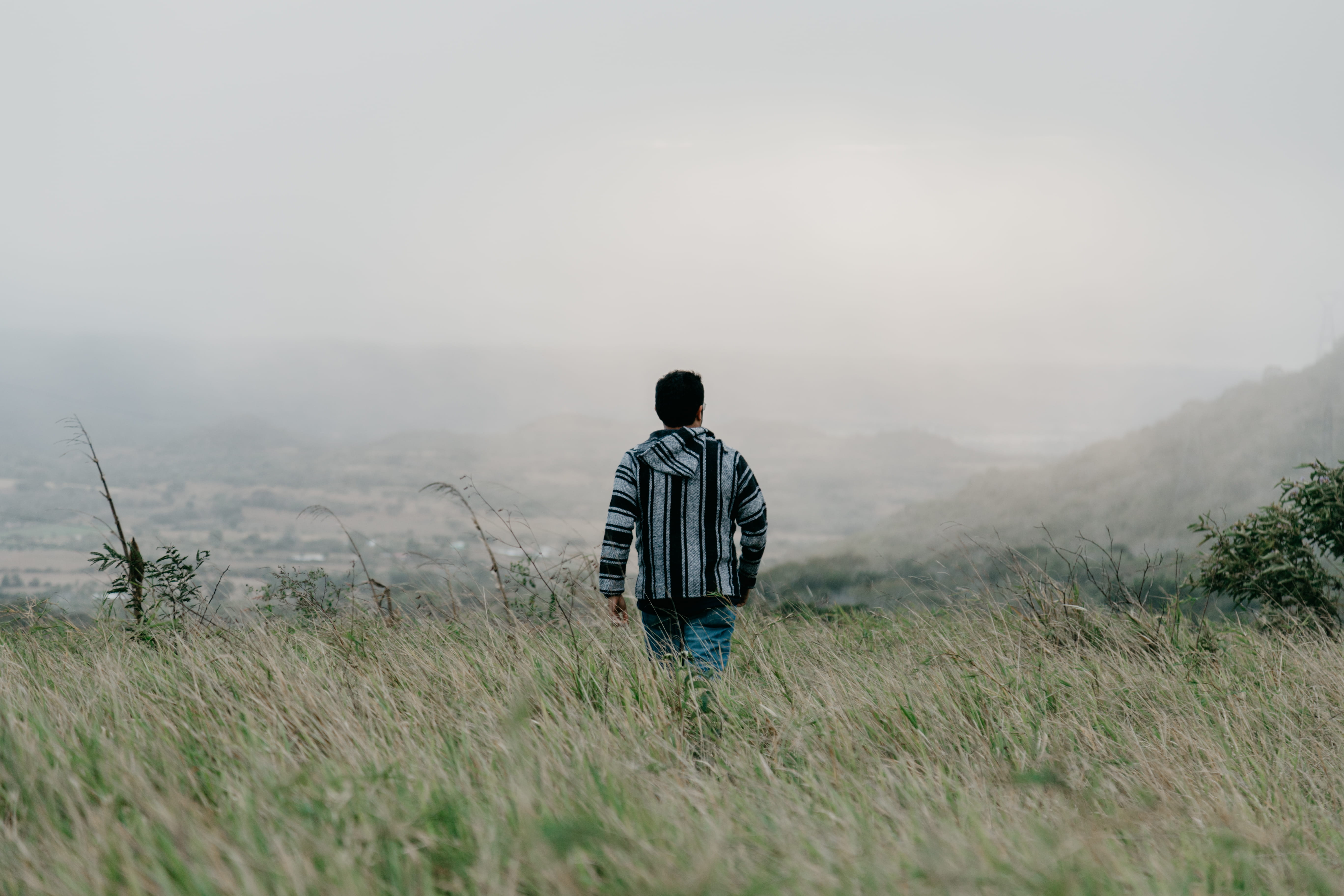 man, moody, weather, person, alone, men, grass, land, plant, scenics - nature, tranquil scene, nature, sky, real people, corn, lifestyles, apparel, clothing, HD Wallpaper