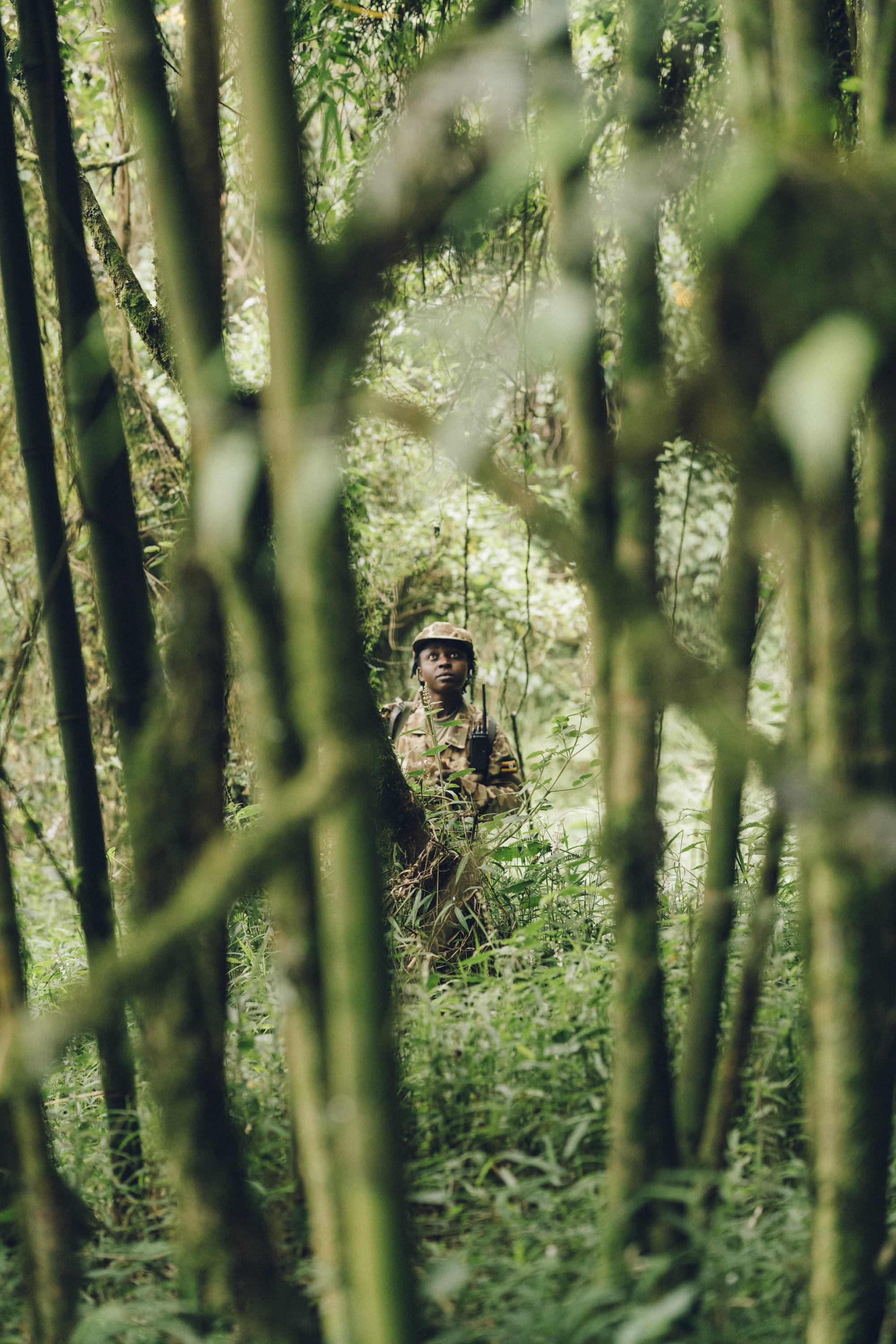 helmet, 2K, girl, nature, military, tree, plant, selective focus, woodland, focus on background, bamboo, portrait, armored, apparel, standing, vegetation, Phone HD Wallpaper