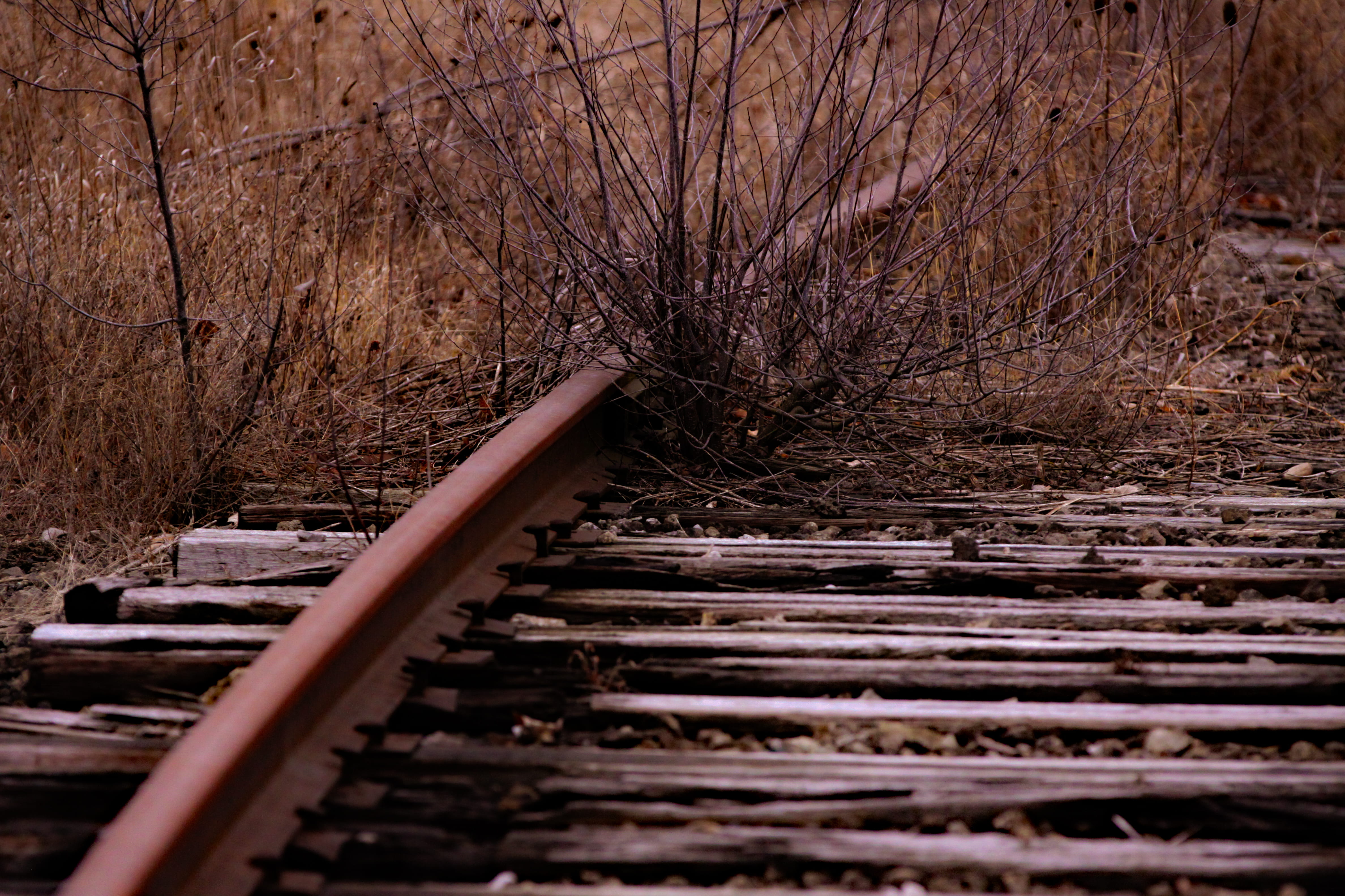metal, wood - material, railroad, no people, surface level, selective focus, connection, nature, tranquility, the way forward, railroad track, day, railway, HD Wallpaper