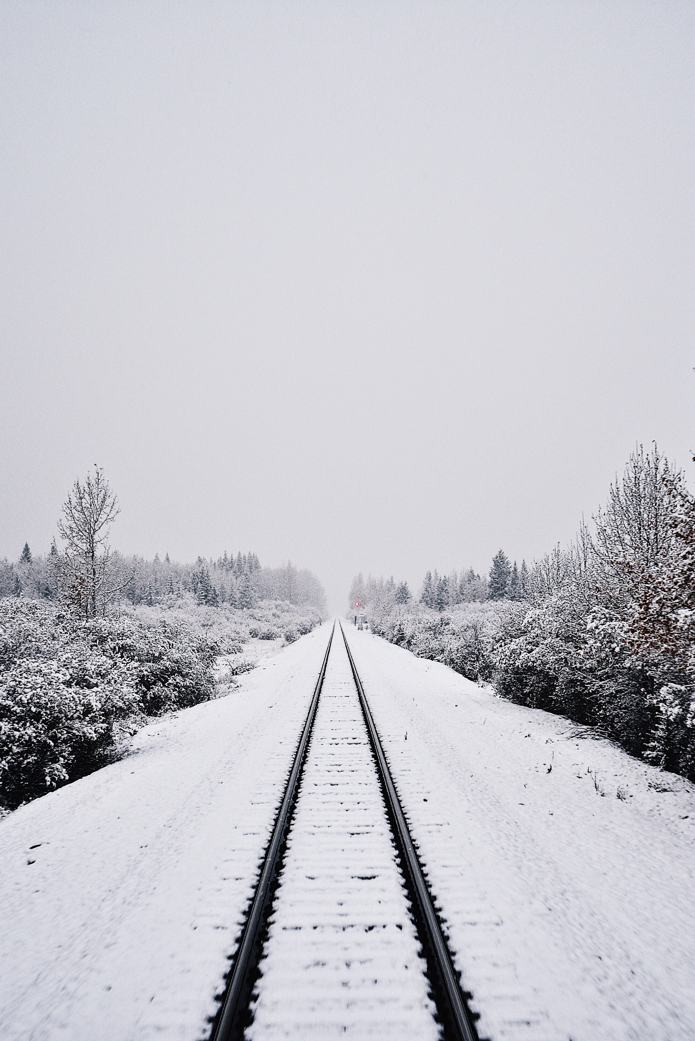 parallel, train, plant, sky, diminishing perspective, trees, railtrack, 4K, snow, black, long, tree, outdoors, track, no people, daytime, transportation, Phone HD Wallpaper