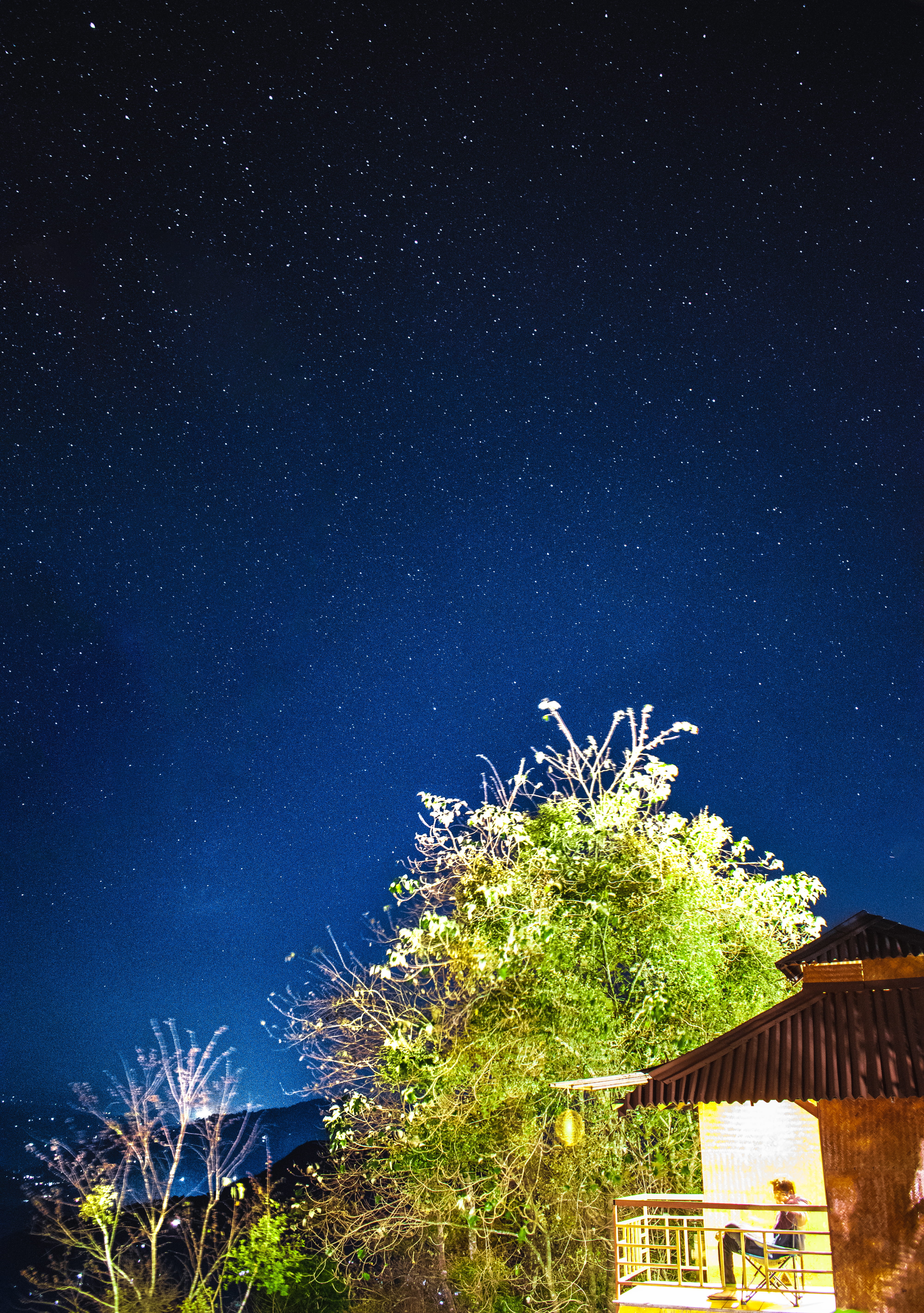 shelter, space, space and astronomy, outer space, countryside, plant, cabin, no people, rural, star, hut, low angle view, architecture, tree, shack, night, Phone HD Wallpaper