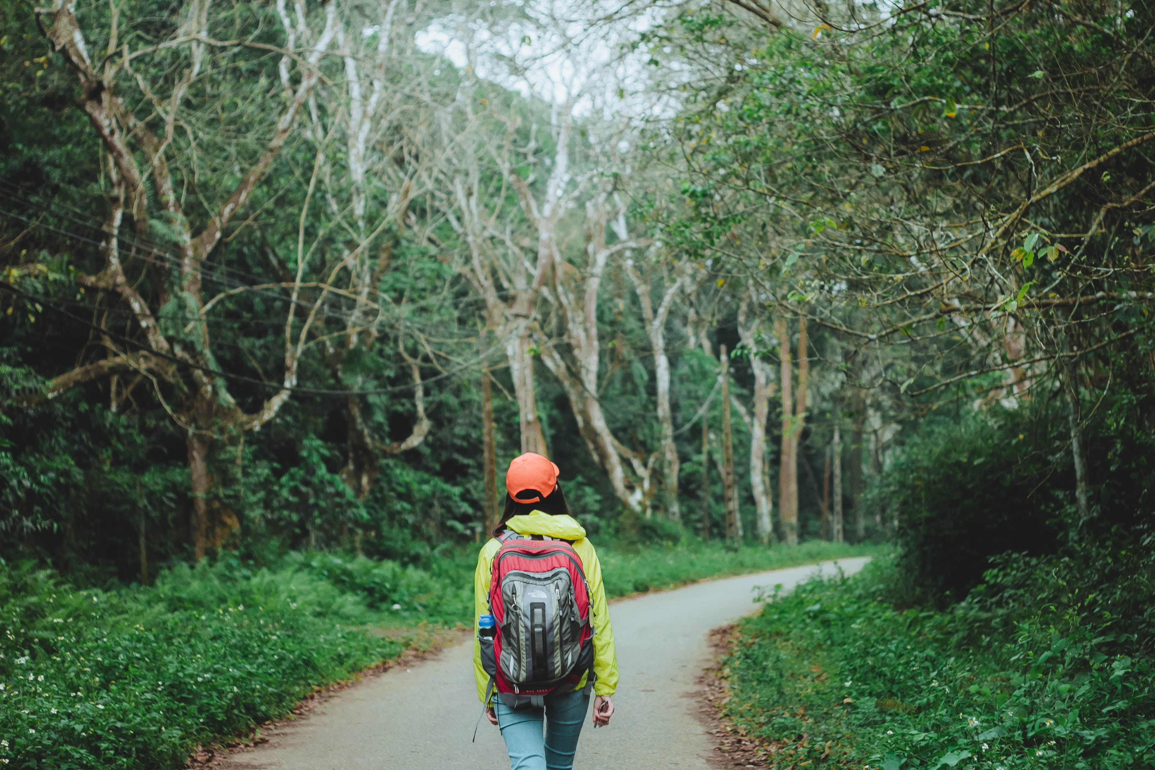 growth, tree, asphalt, one person, land, gravel, path, transportation, coat, apparel, human, rear view, dog, bag, direction, footpath, concrete, nature, HD Wallpaper