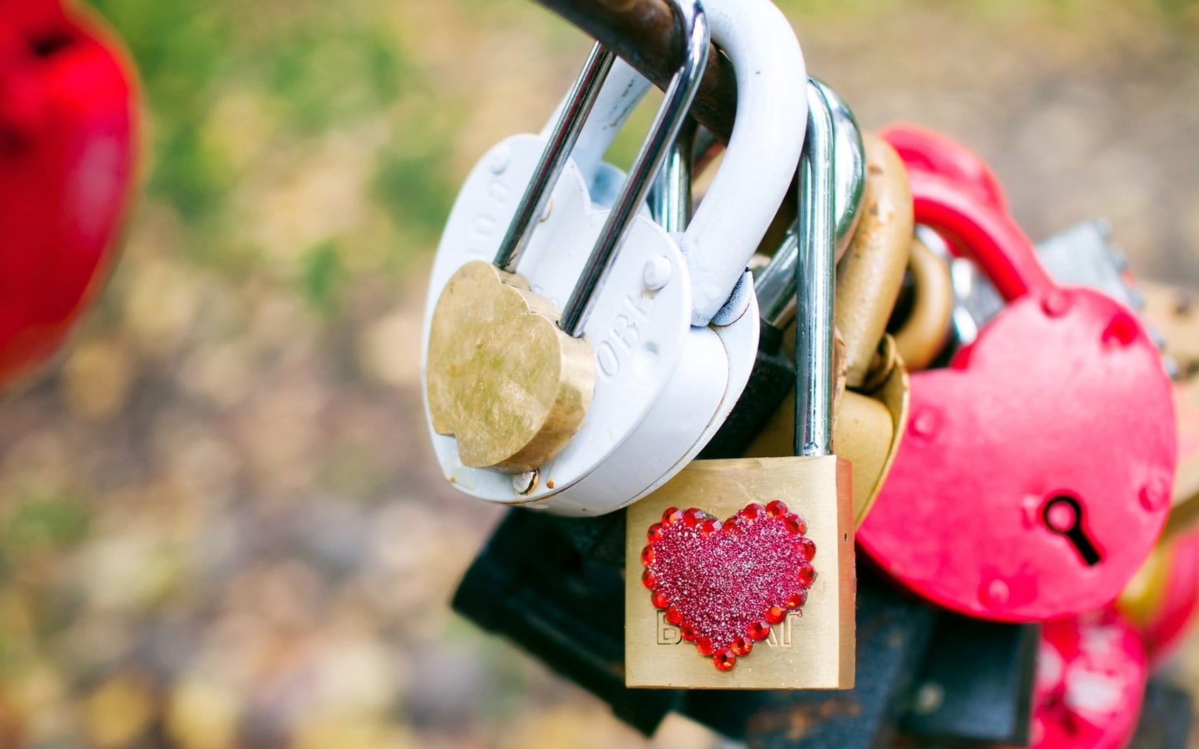 focus on foreground, wedding, heart, romance, freshness, outdoors, still life, symbol, color, creativity, plant, assorted, no people, padlocks, decoration, HD Wallpaper