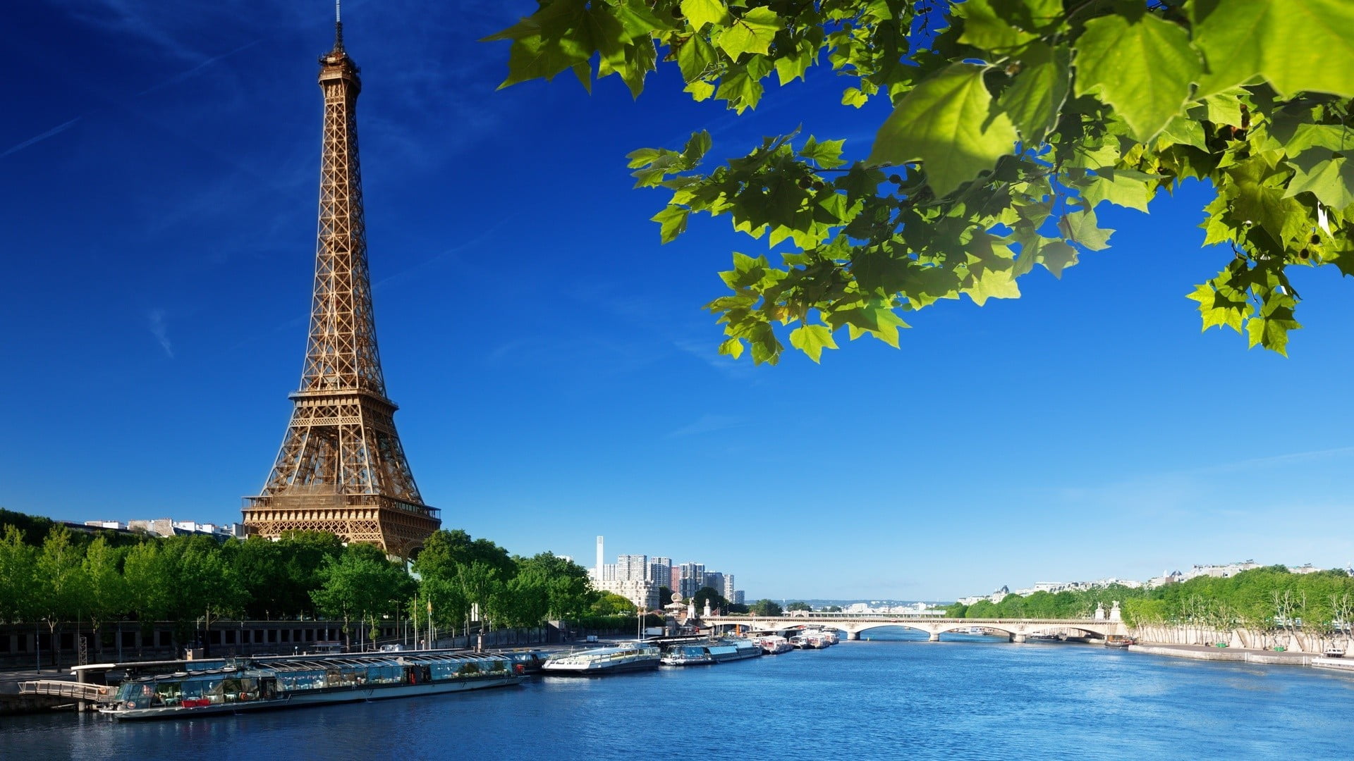 river, water, travel destinations, 1080P, travel, nautical vessel, built structure, outdoors, boat, architecture, plant, near, tower, eiffel, tree, passenger craft, HD Wallpaper