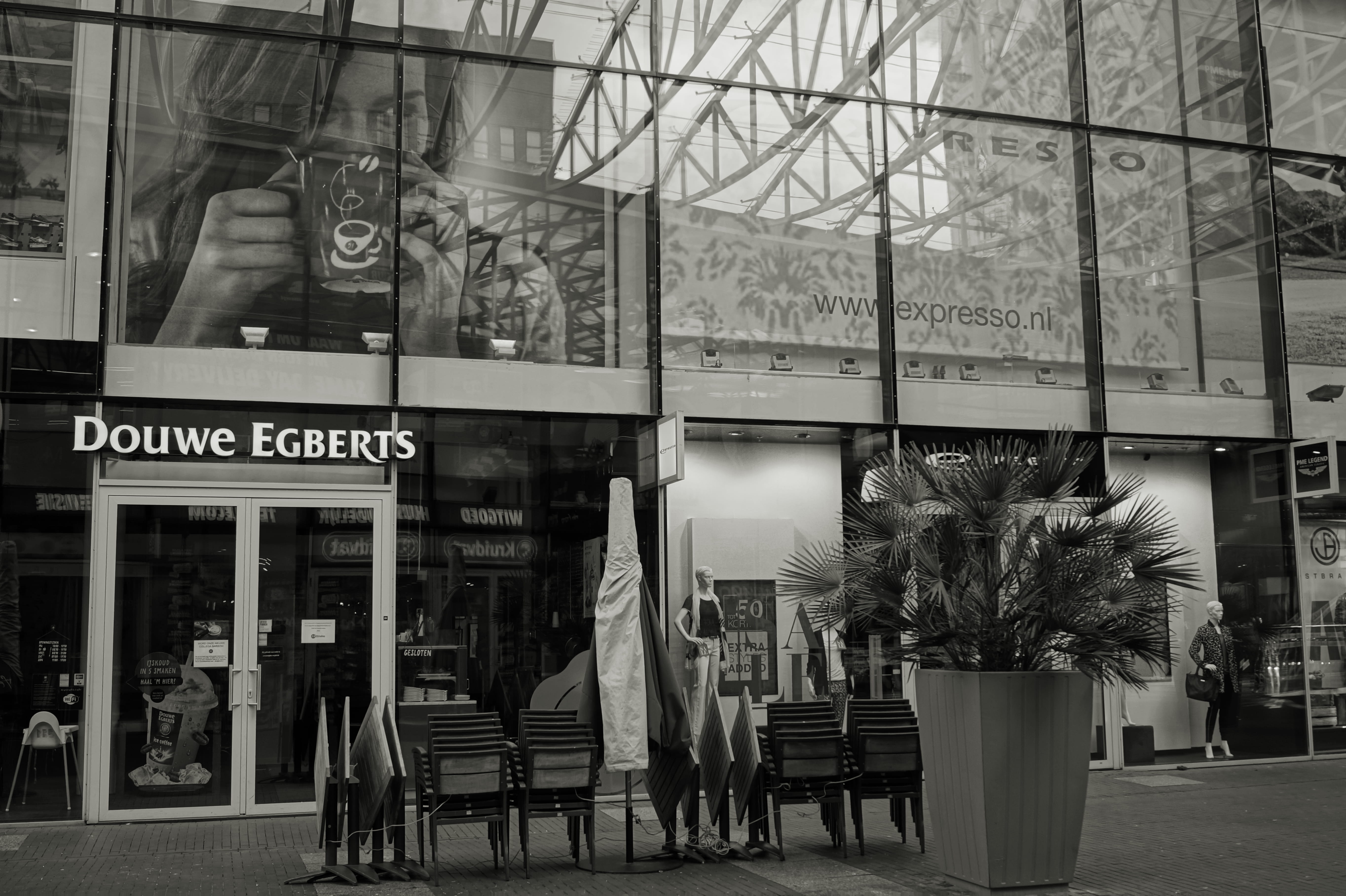 no people, group, white, chairs, stock, luxury, street, indoors, tree, seat, plant, black, black-and-white, empty, coffeehouse, shopping centre, western script, HD Wallpaper
