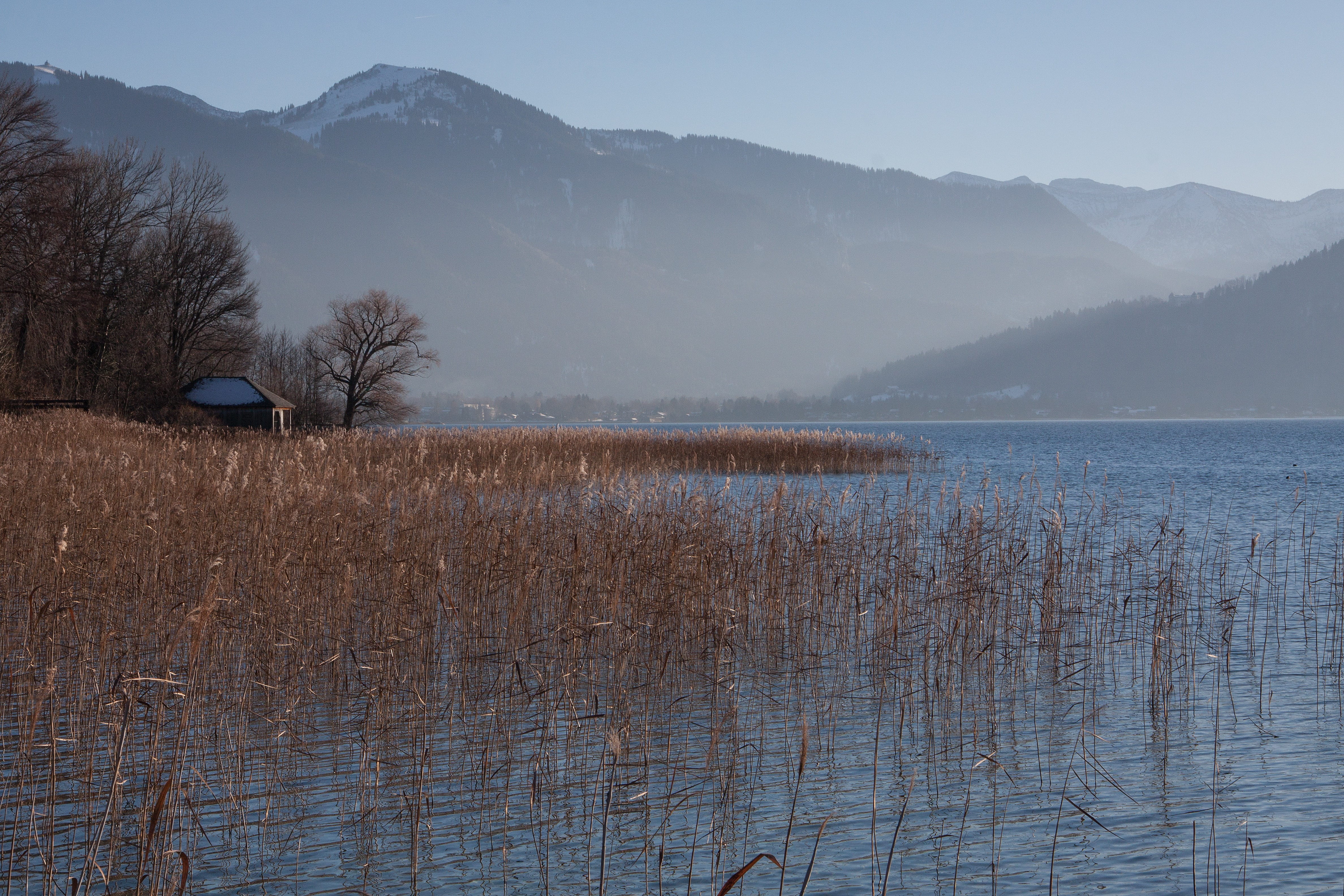 bluegrass, plant, tranquility, blue, panorama, tranquil scene, non-urban scene, mountain, water, phragmites australis, day, idyllic, bank, wintry, poaceae, HD Wallpaper