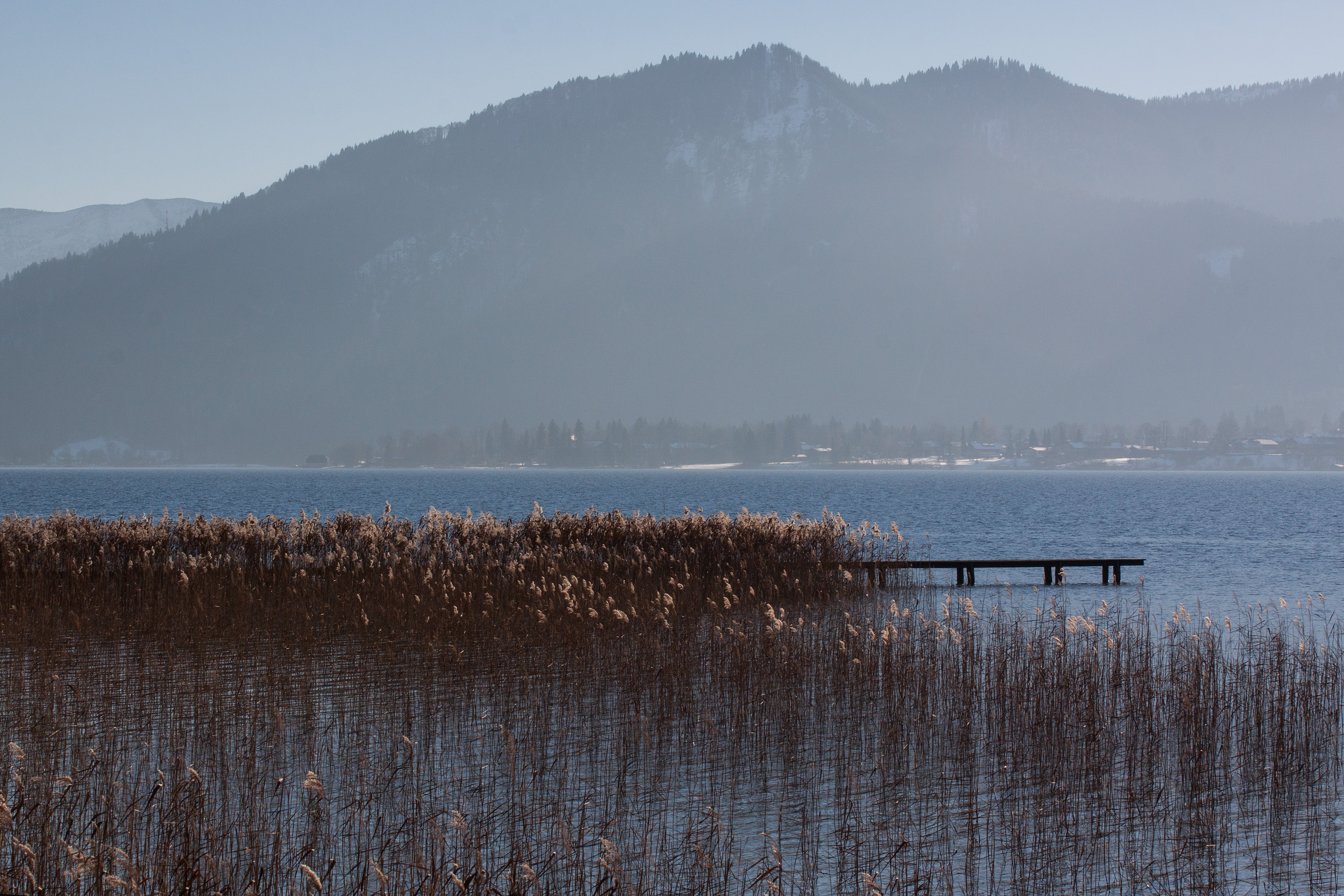 web, 4K, bank, fog, scenics - nature, plant, bluegrass, boardwalk, panorama, tranquility, blue, day, idyllic, phragmites australis, marsh plant, mountain, HD Wallpaper