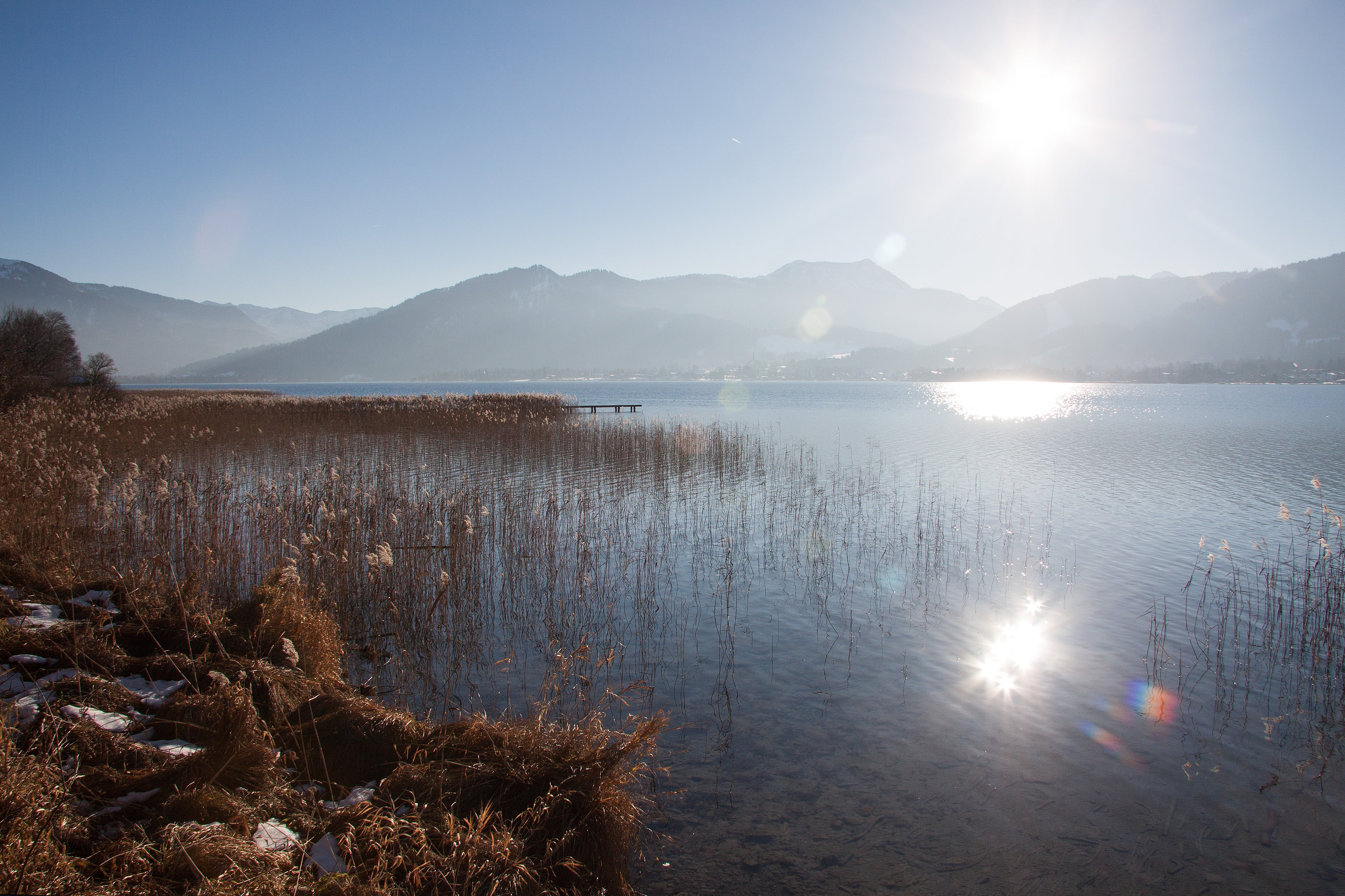 poaceae, water, rest, lake, mountain range, plants, winter, growing, environment, no people, phragmites australis, landscape, scenics - nature, mountains, HD Wallpaper